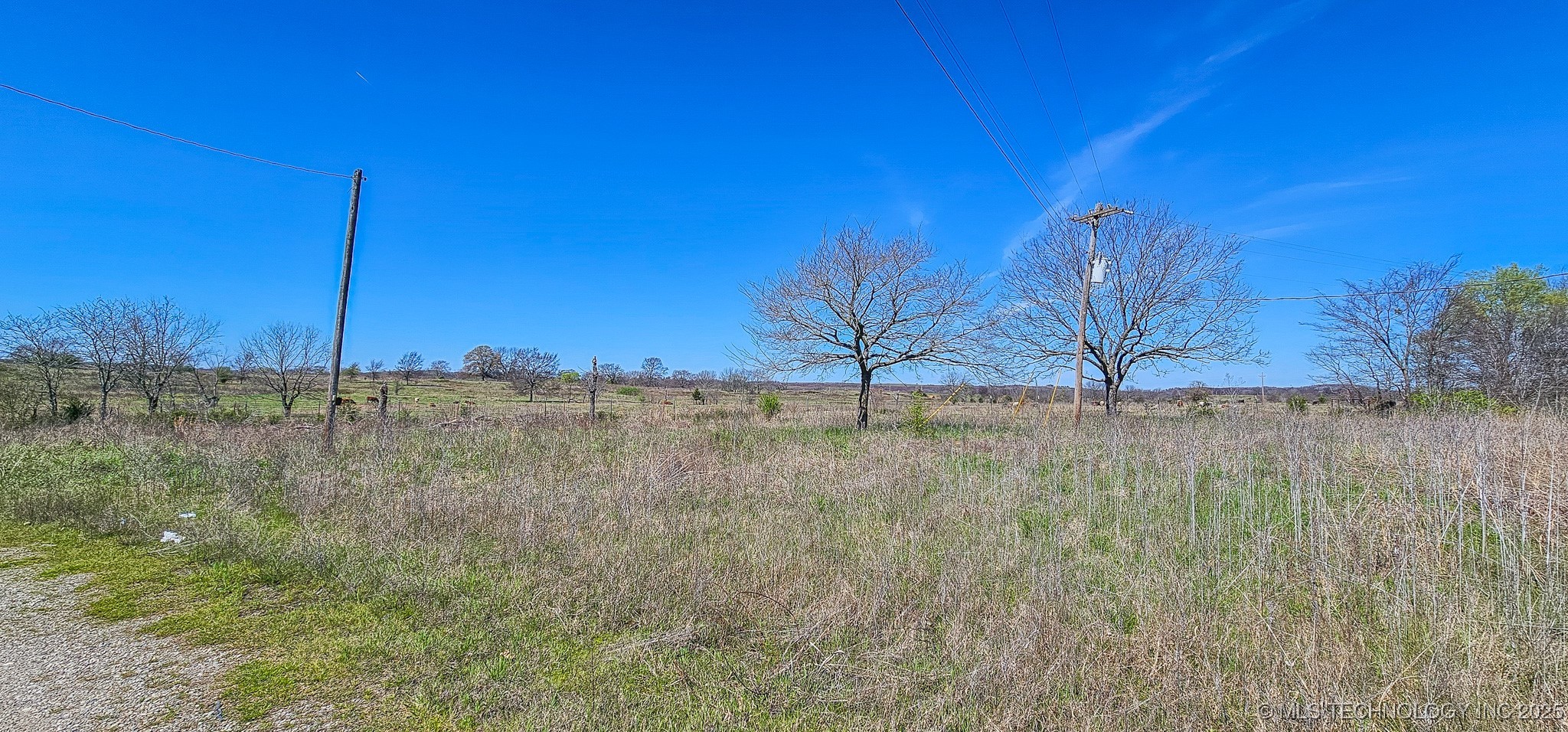 1 Hwy 9 W Property Photo 6