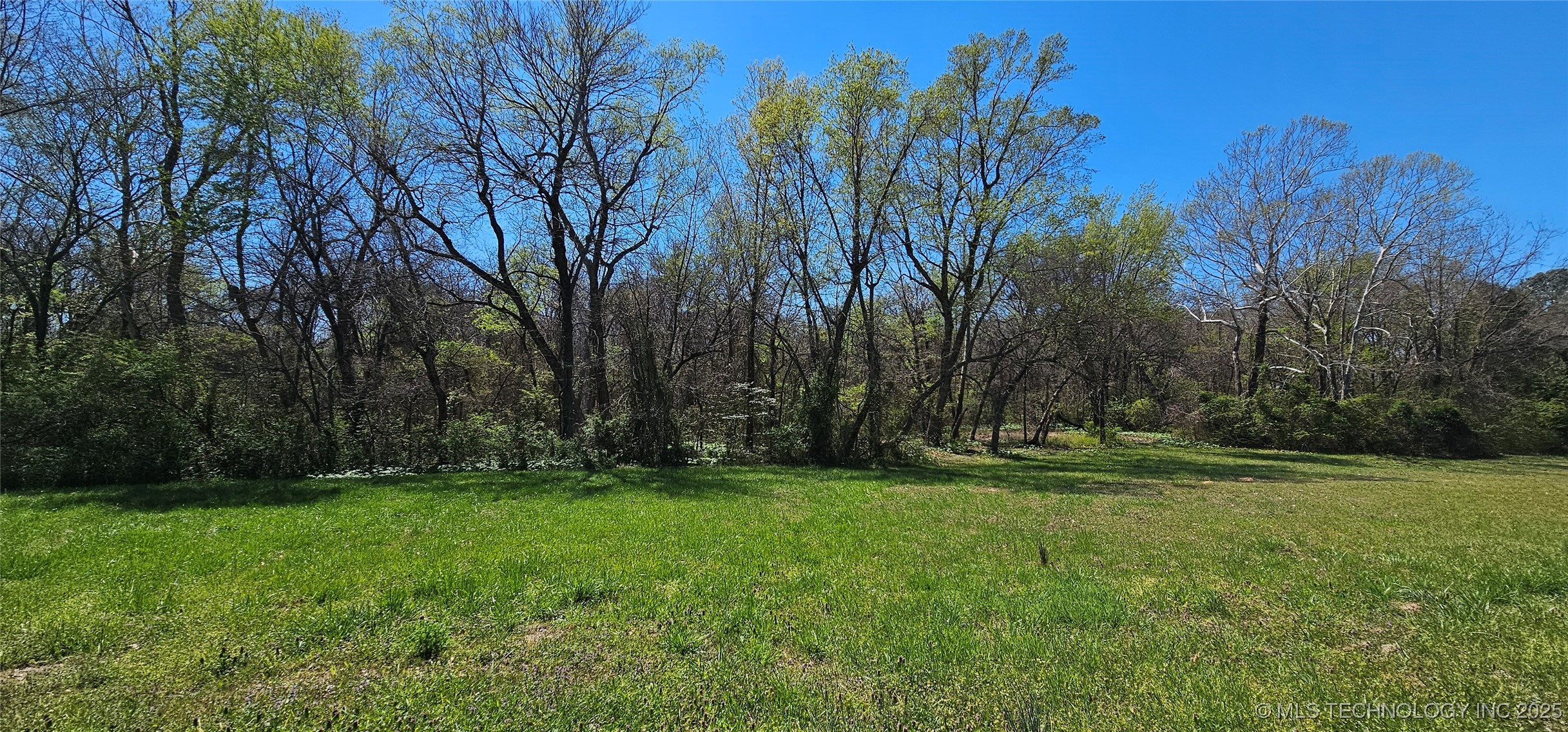 7 Coon Creek Drive Property Photo 4