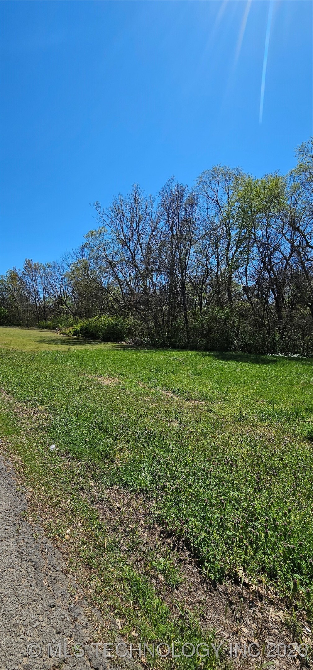 7 Coon Creek Drive Property Photo 5