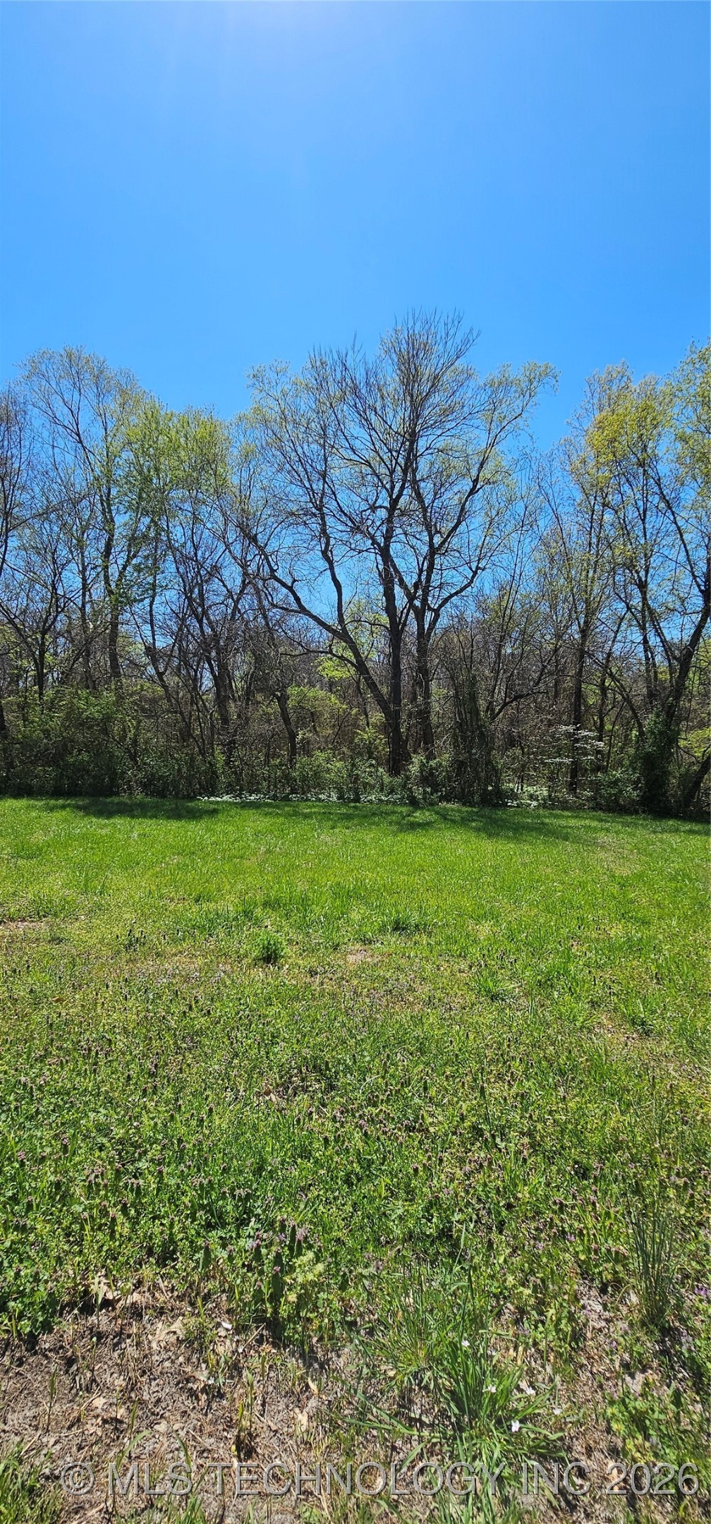 7 Coon Creek Drive Property Photo 6