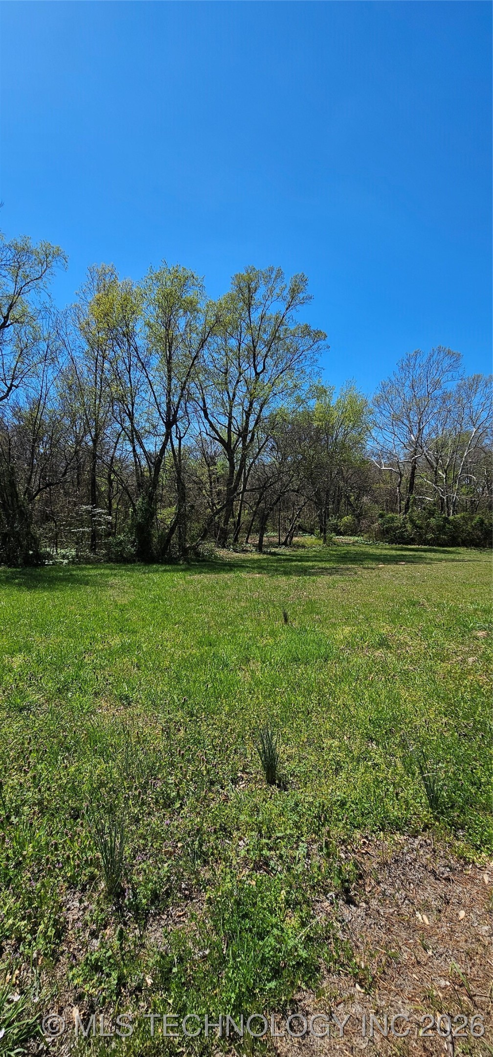 7 Coon Creek Drive Property Photo 7