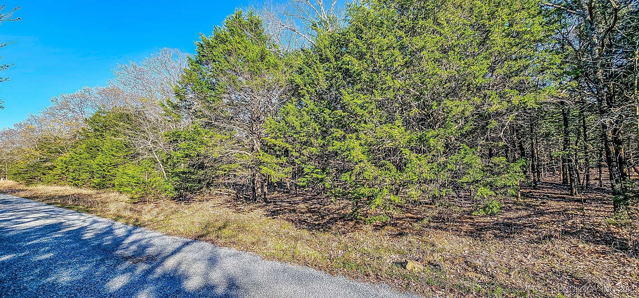 14 Larry Drive Property Photo 4