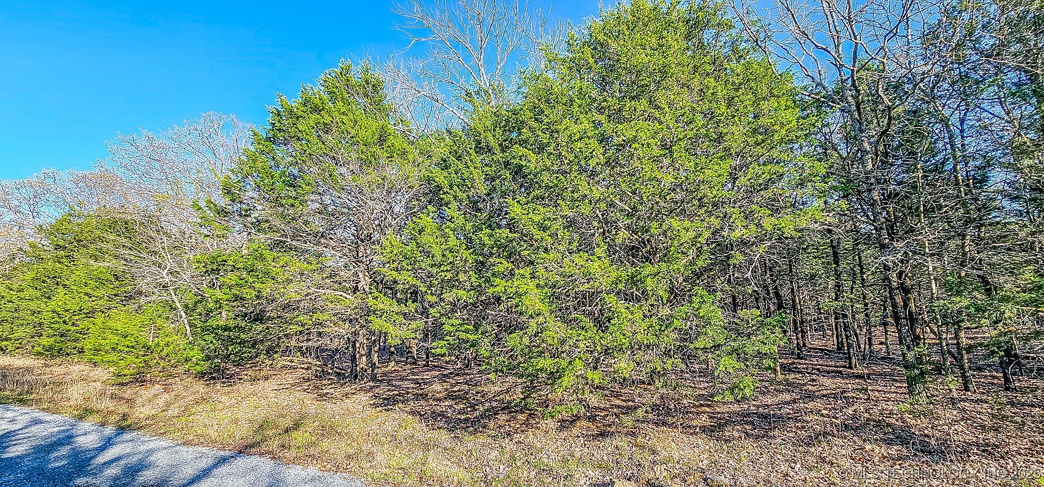 14 Larry Drive Property Photo 6