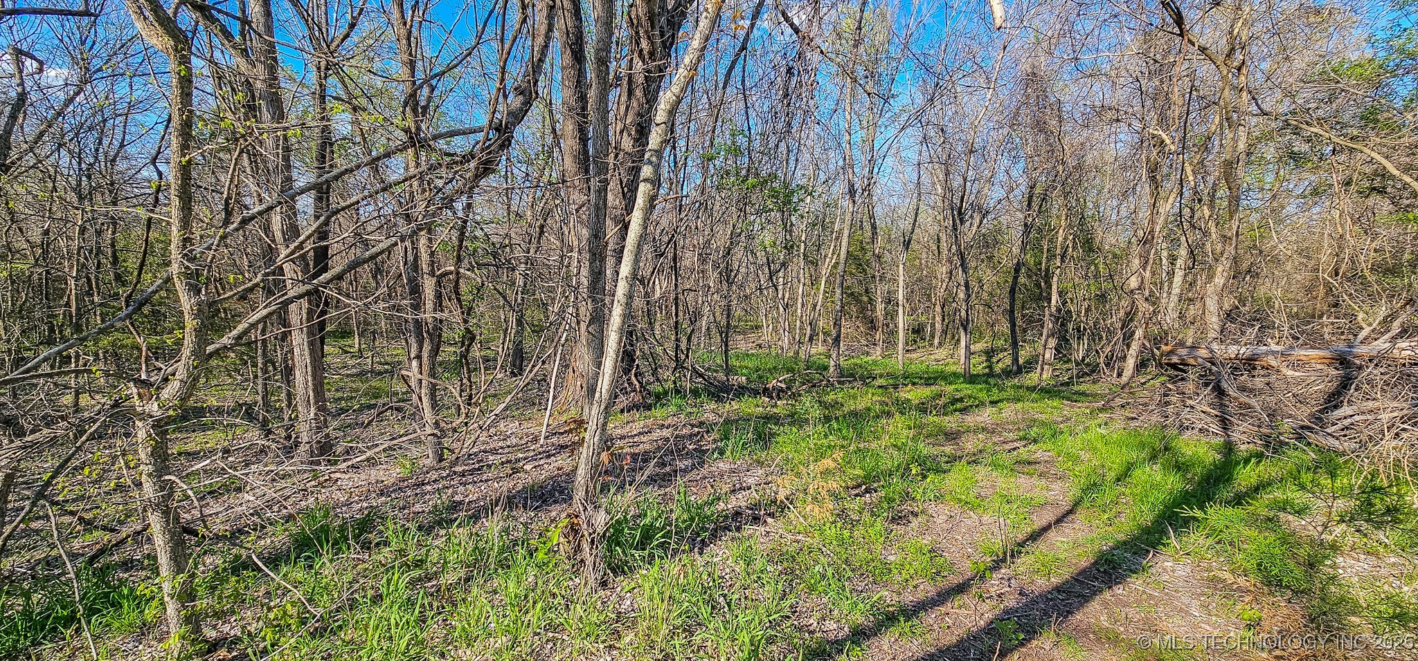 90 Chief Jim Road Property Photo 12