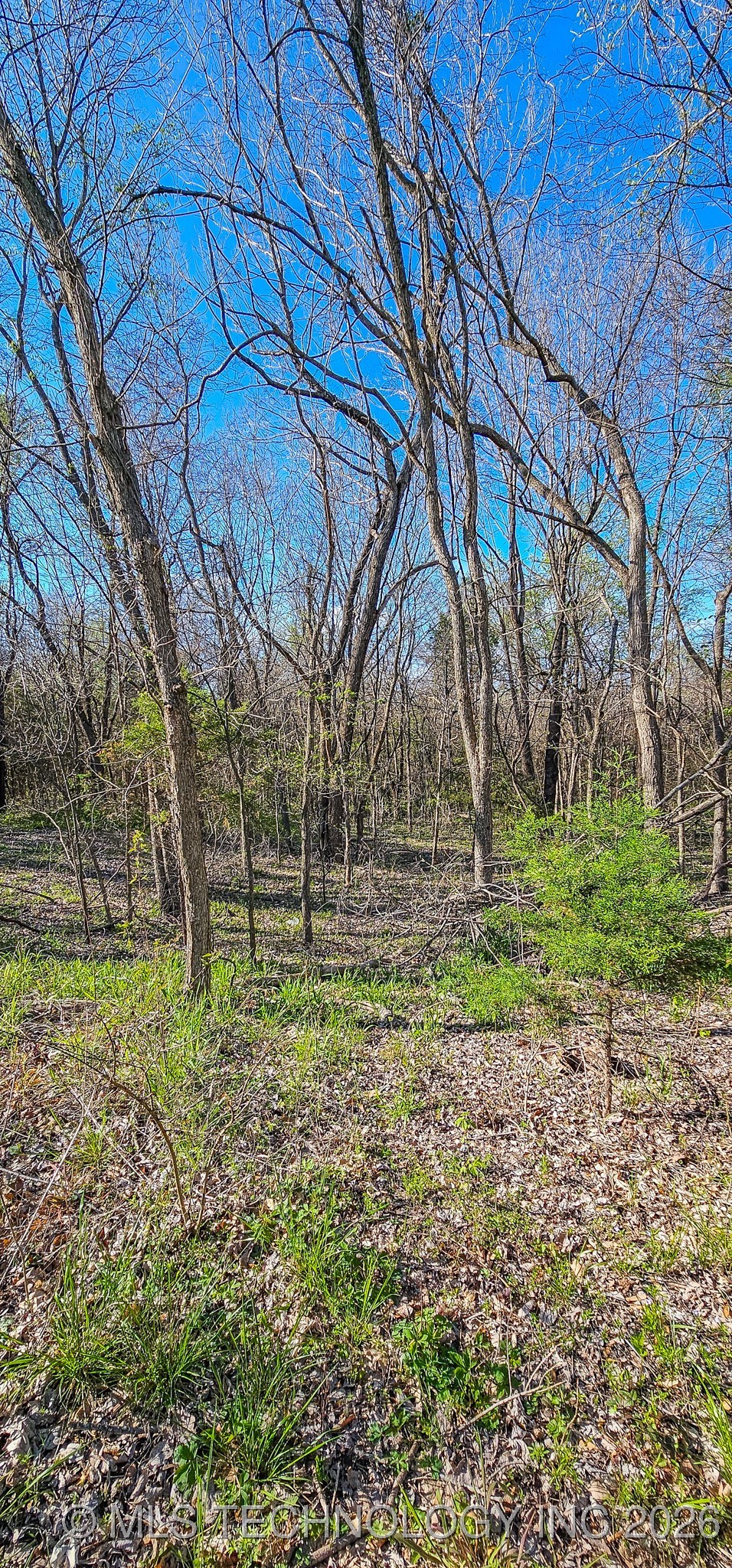 90 Chief Jim Road Property Photo 14