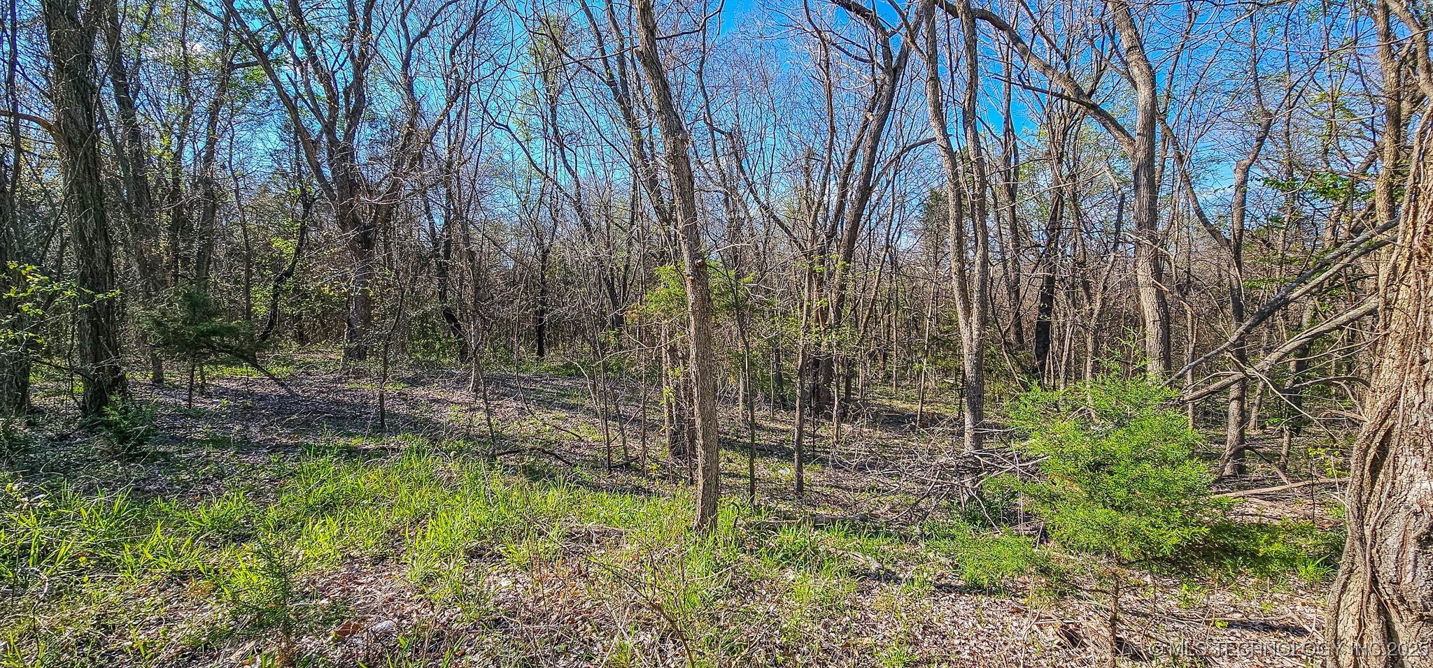 90 Chief Jim Road Property Photo 15