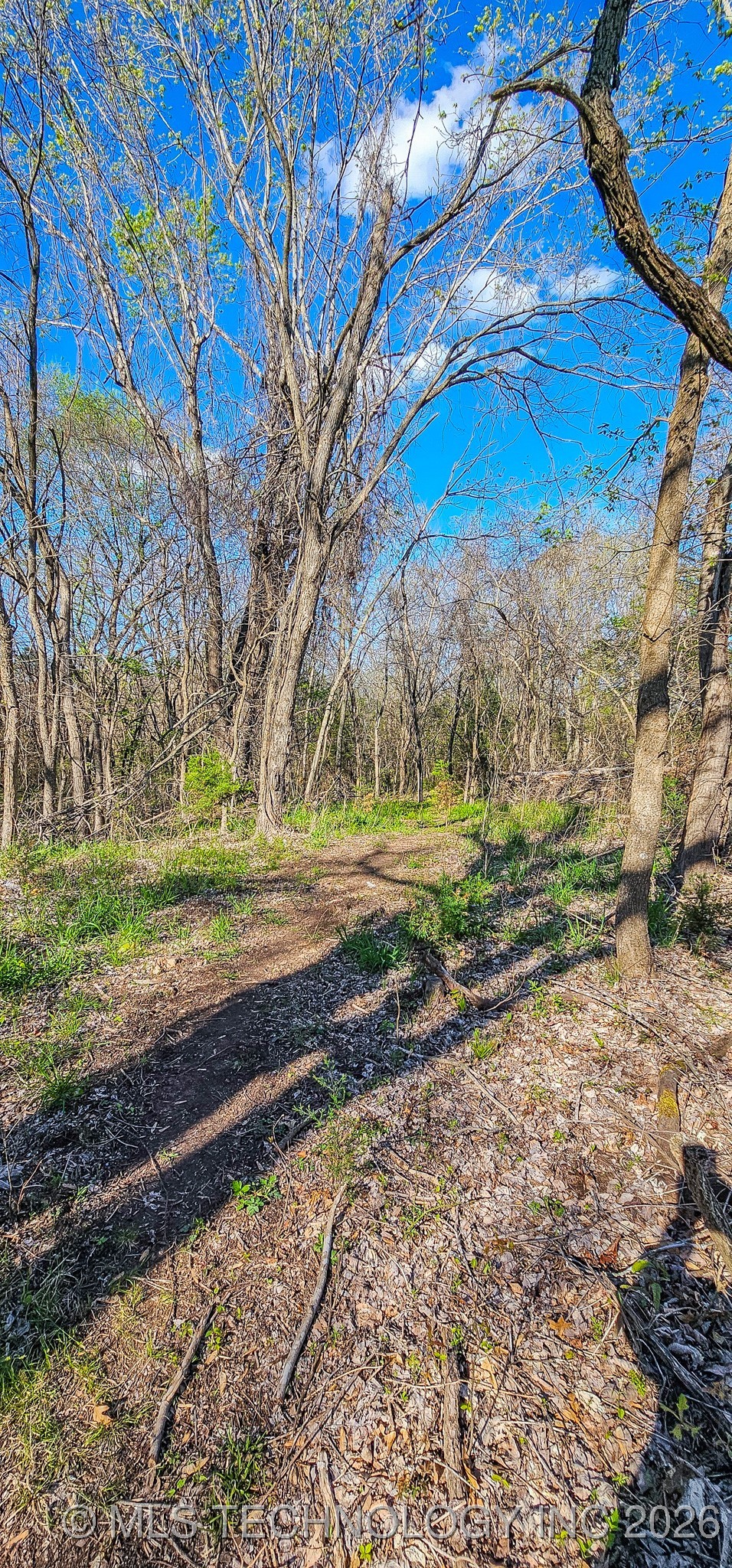 90 Chief Jim Road Property Photo 16