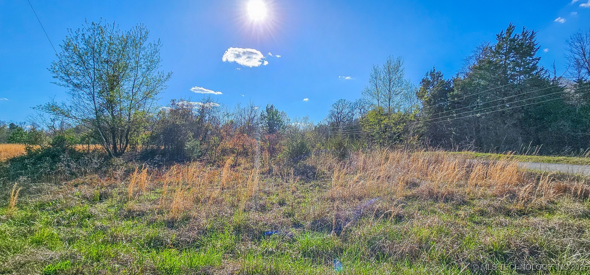 107 E Lakeshore Drive Property Photo 4