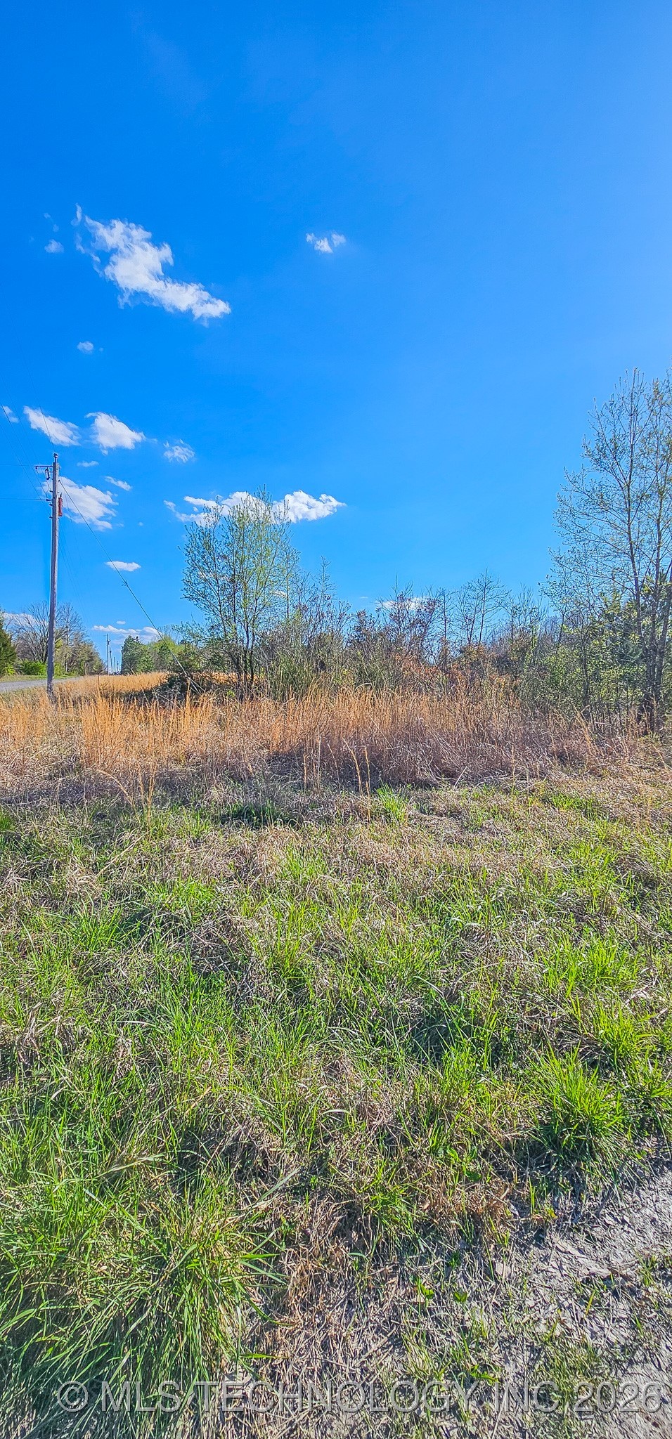 107 E Lakeshore Drive Property Photo 7