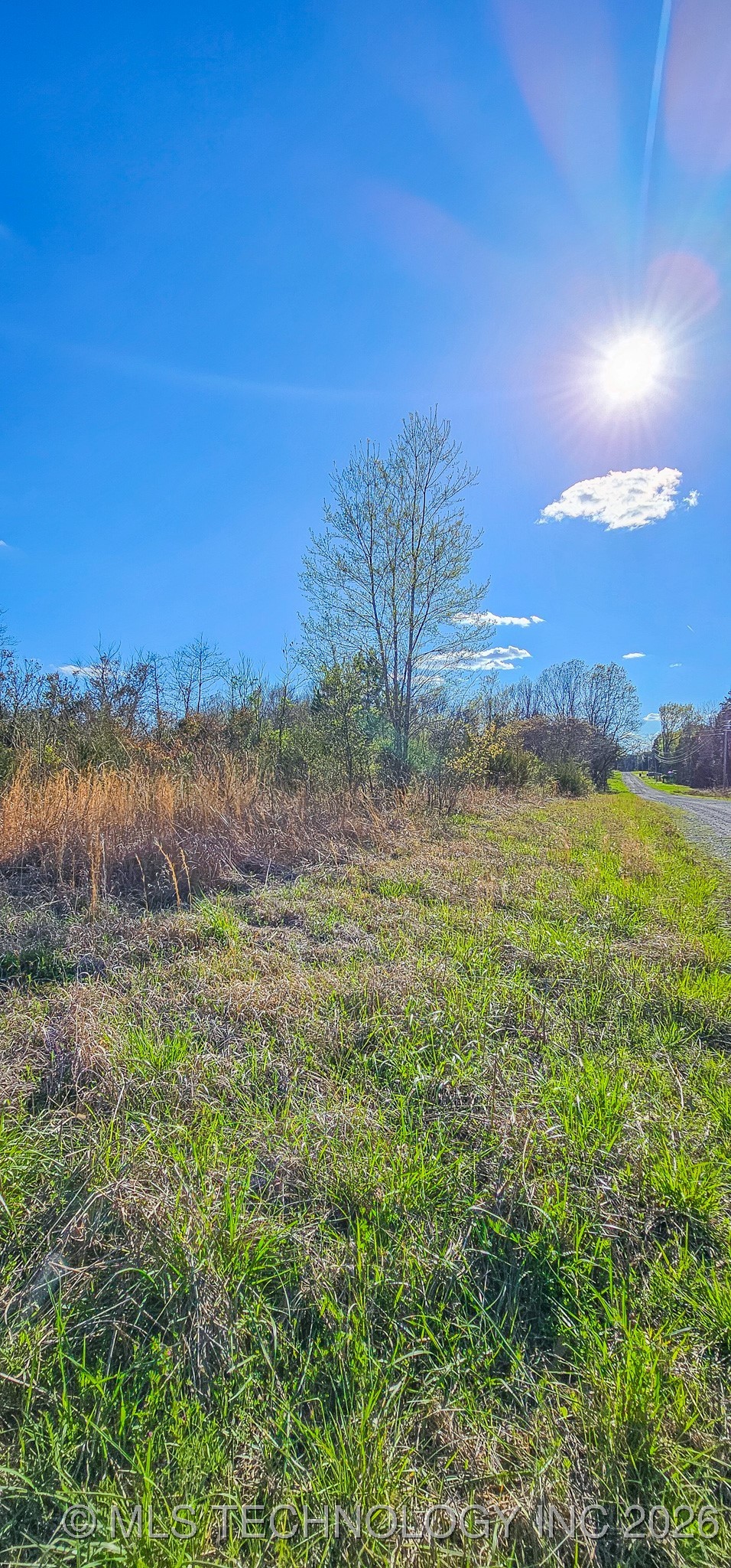 107 E Lakeshore Drive Property Photo 8