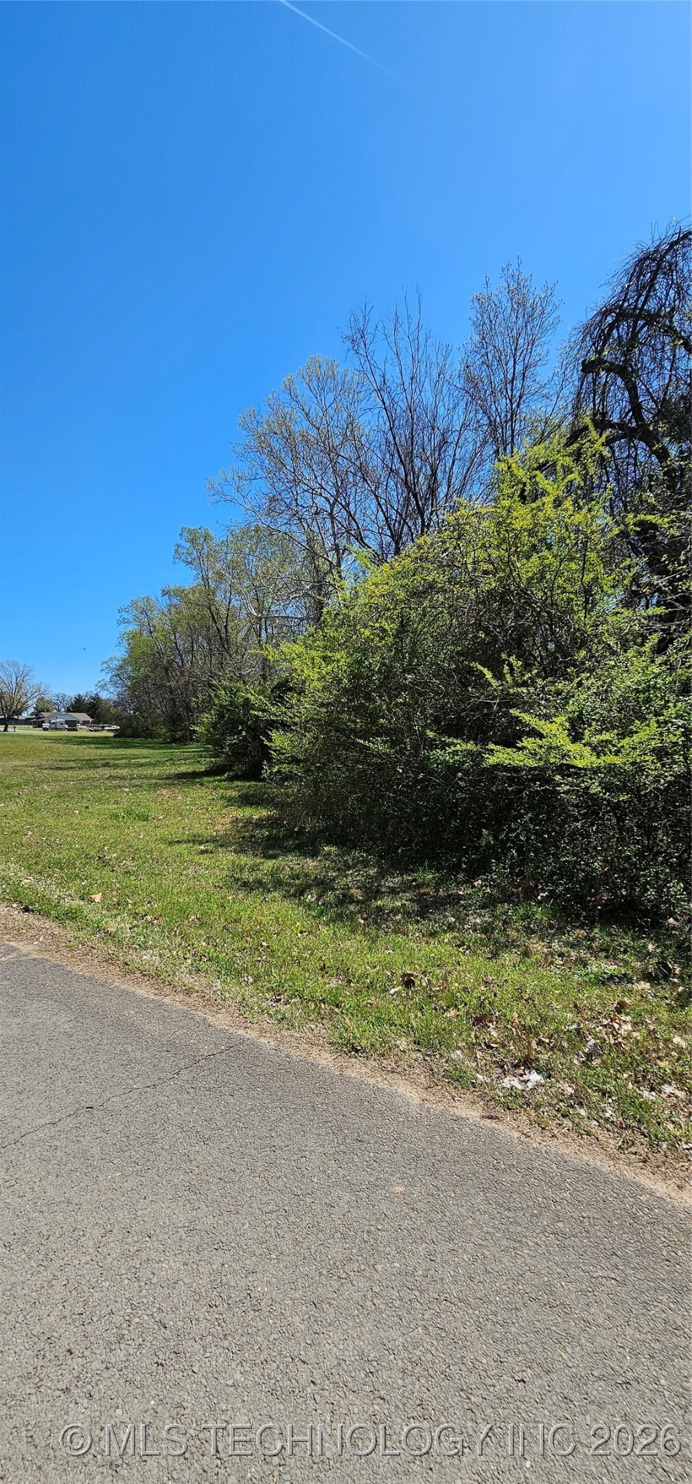 9 Coon Creek Drive Property Photo 4