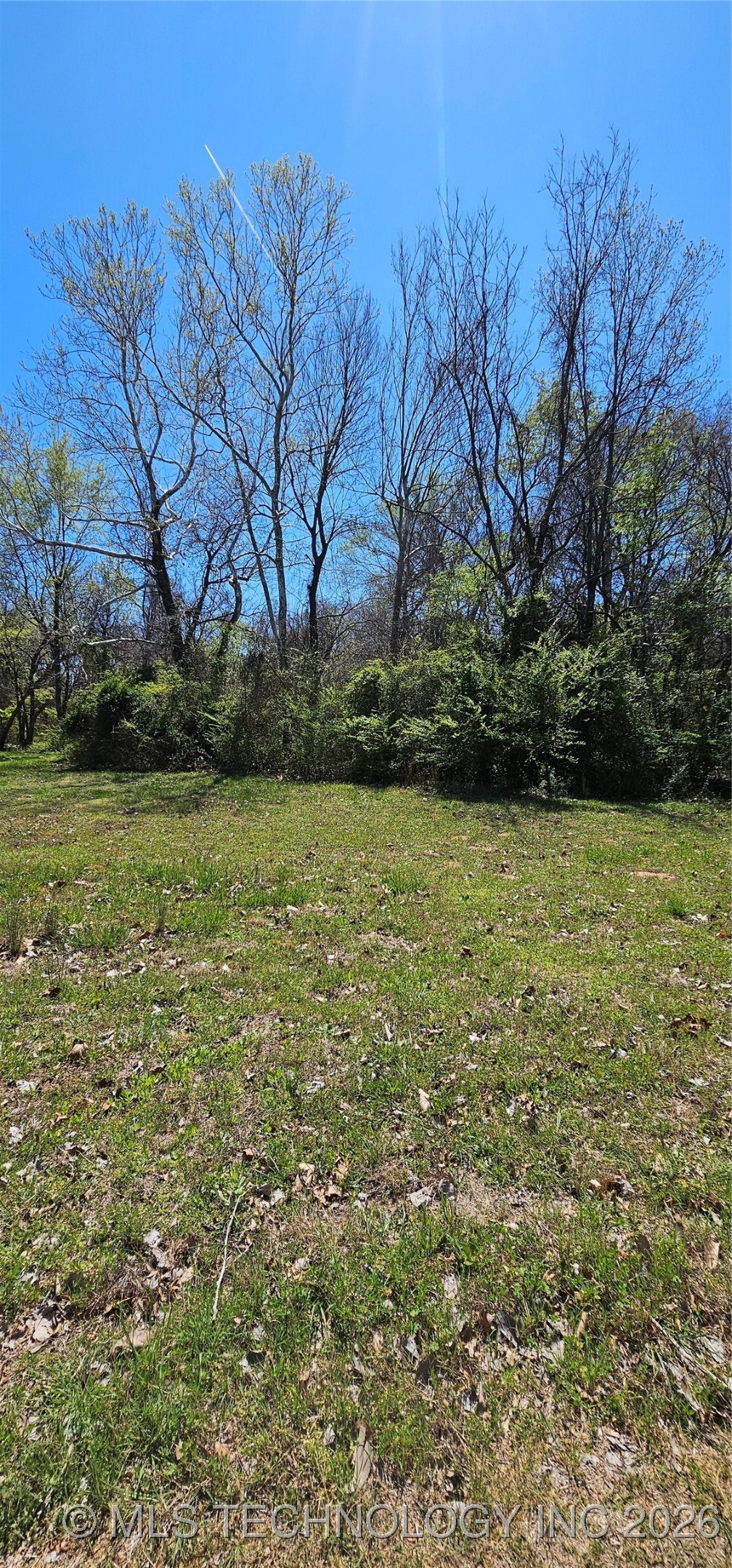 9 Coon Creek Drive Property Photo 6