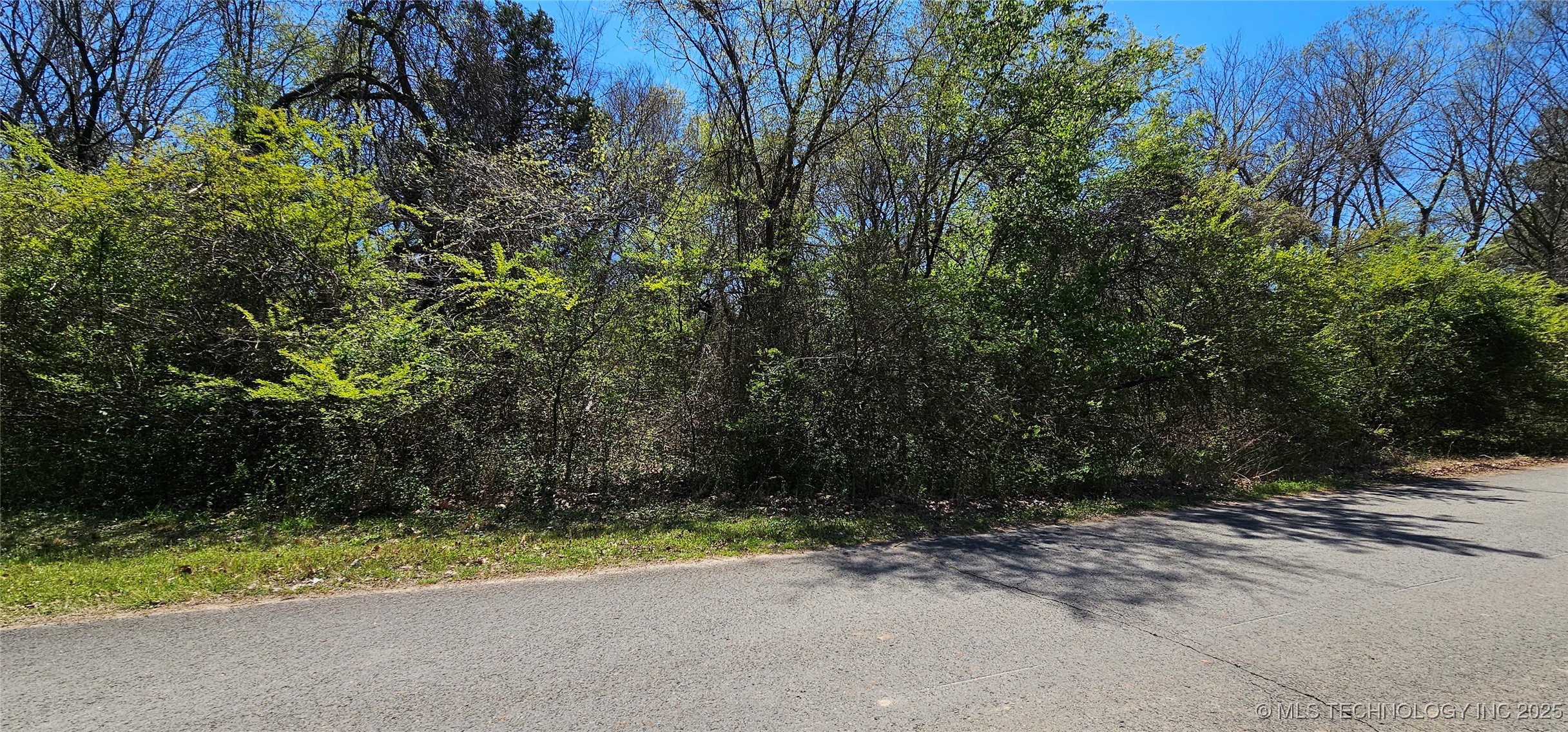 9 Coon Creek Drive Property Photo 7