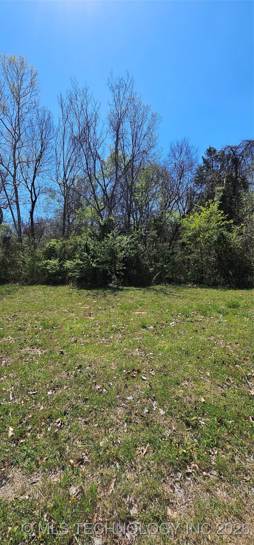 9 Coon Creek Drive Property Photo 9