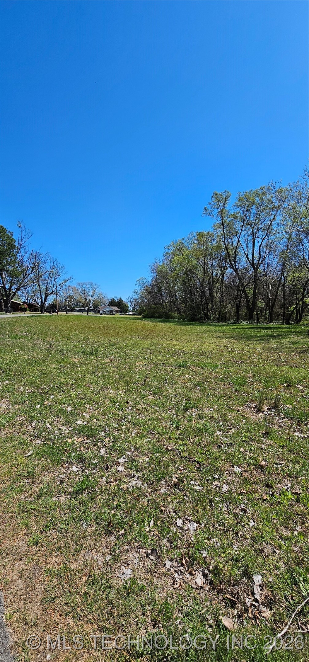 9 Coon Creek Drive Property Photo 10