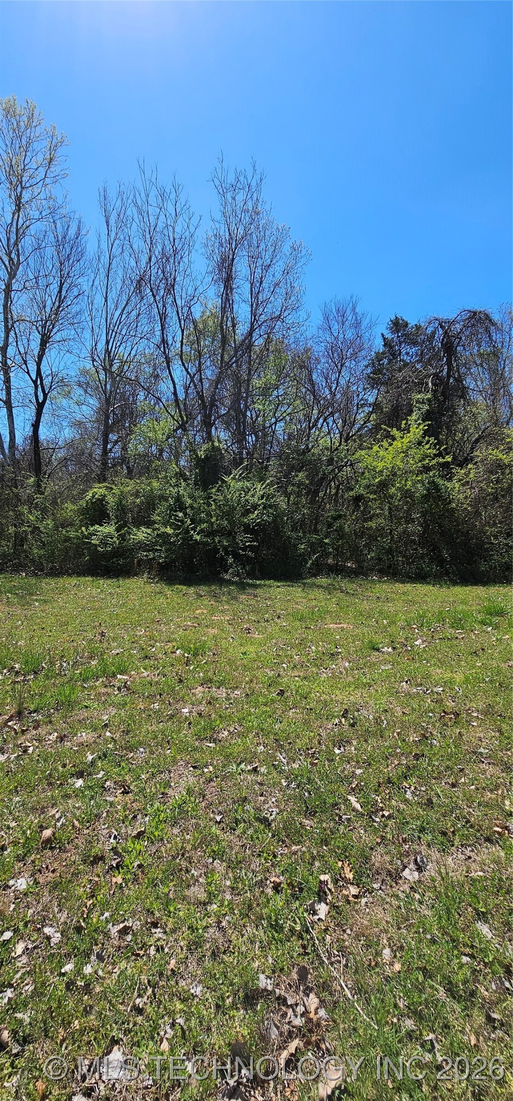 9 Coon Creek Drive Property Photo 11