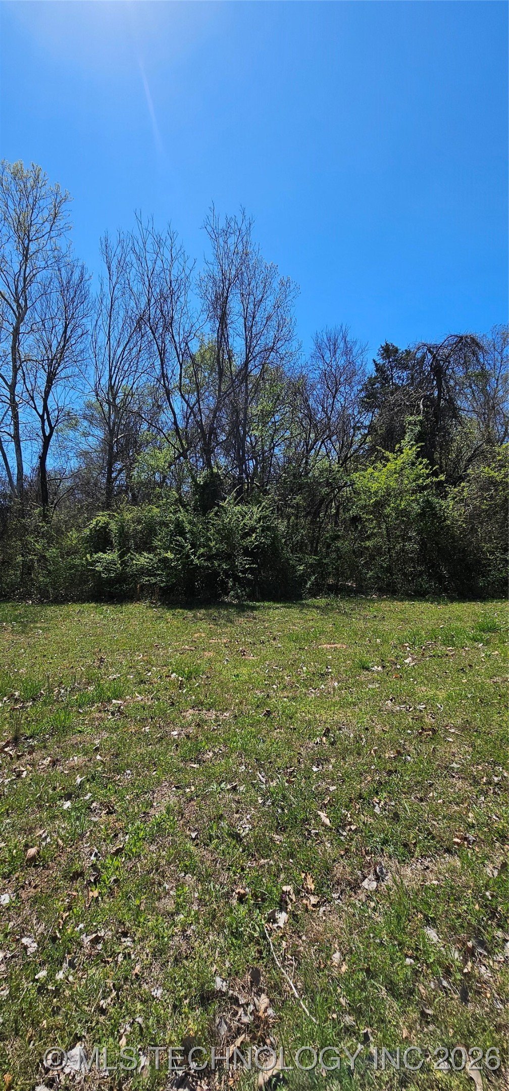 9 Coon Creek Drive Property Photo 12