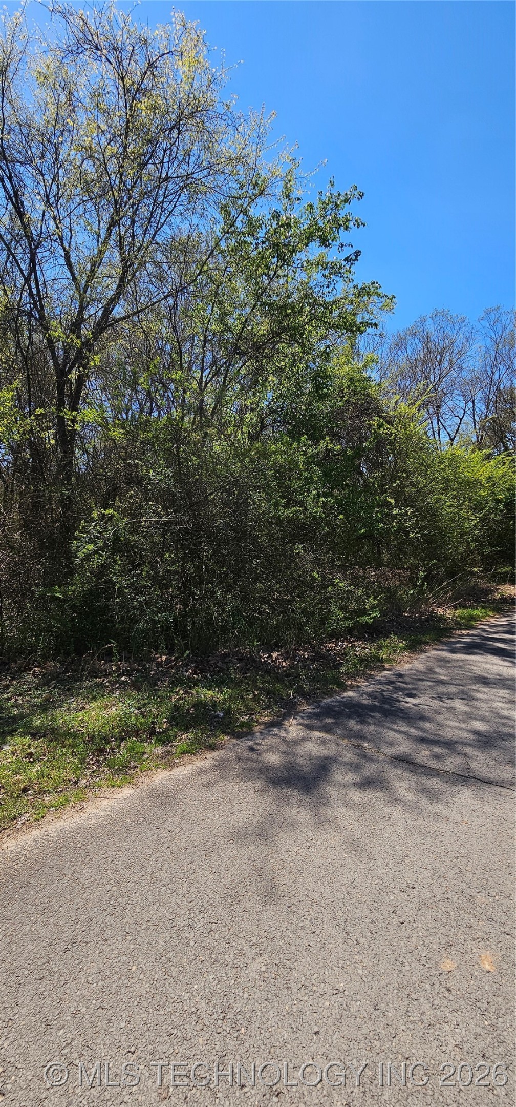 9 Coon Creek Drive Property Photo 14