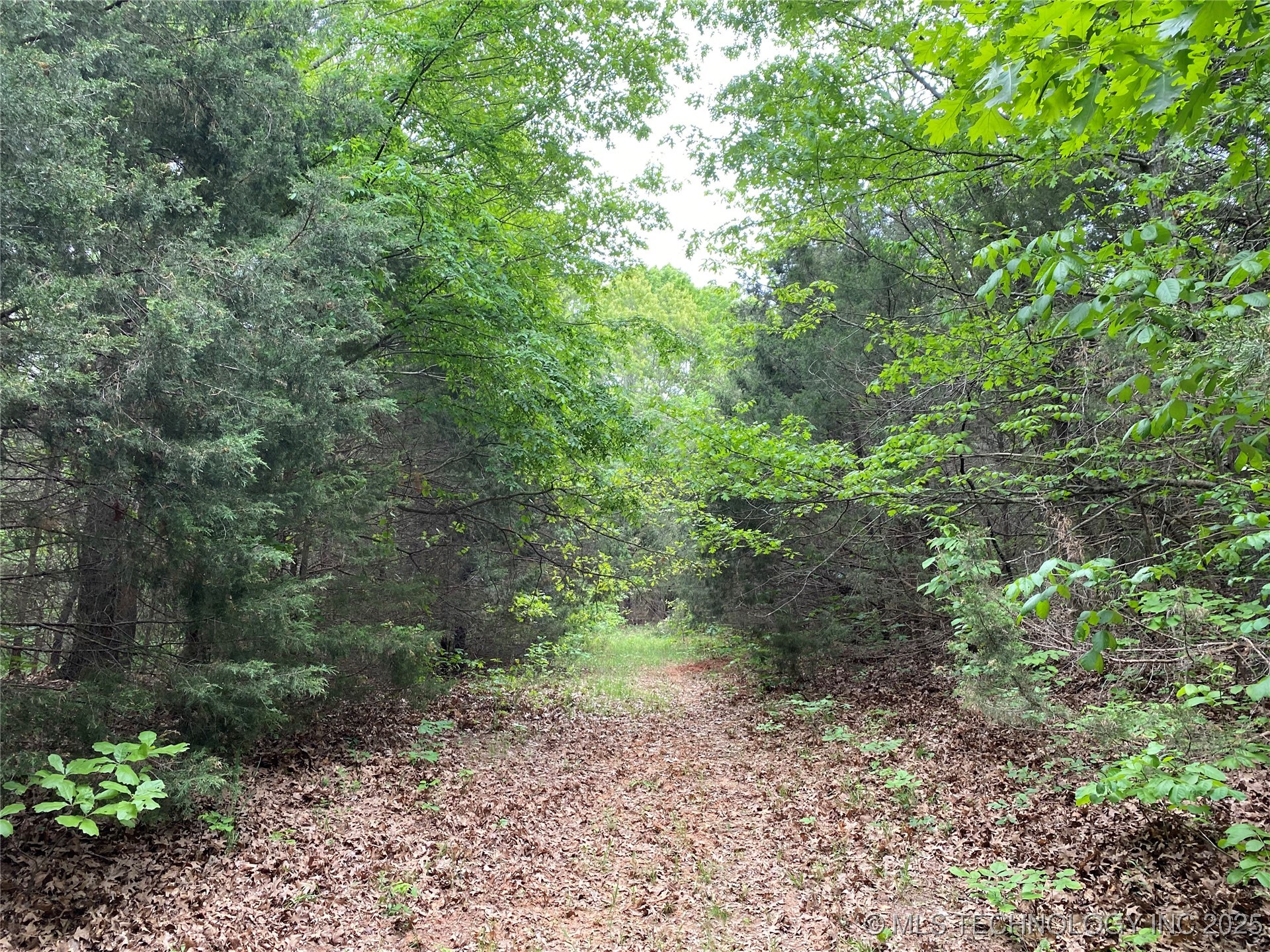 000 Cherokee Loop Property Photo 4