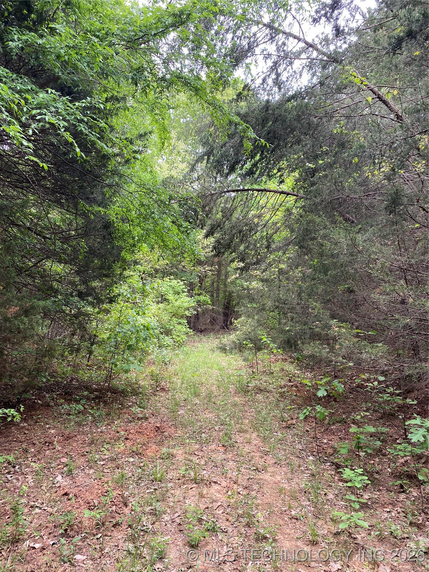 000 Cherokee Loop Property Photo 5