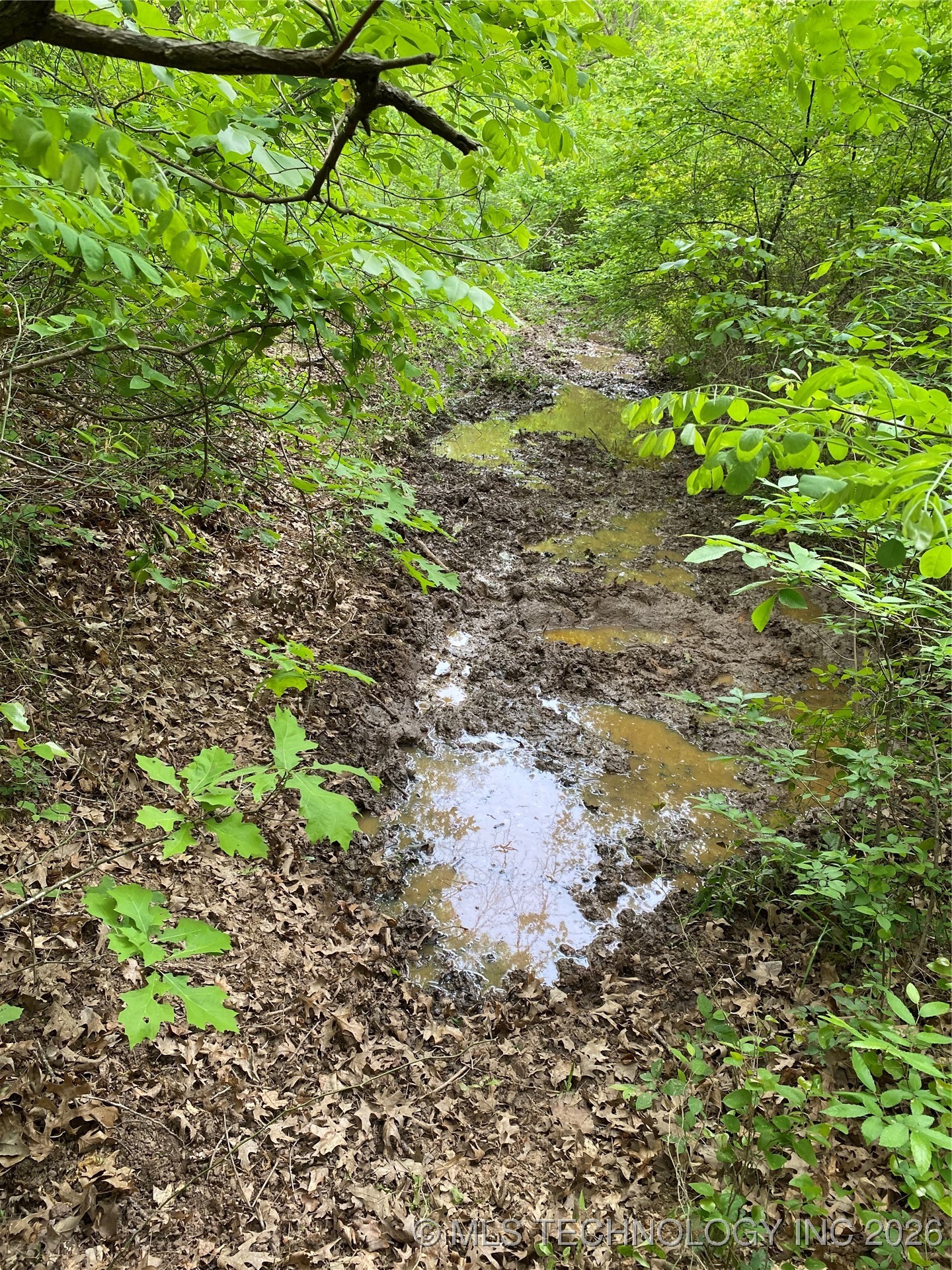 000 Cherokee Loop Property Photo 6