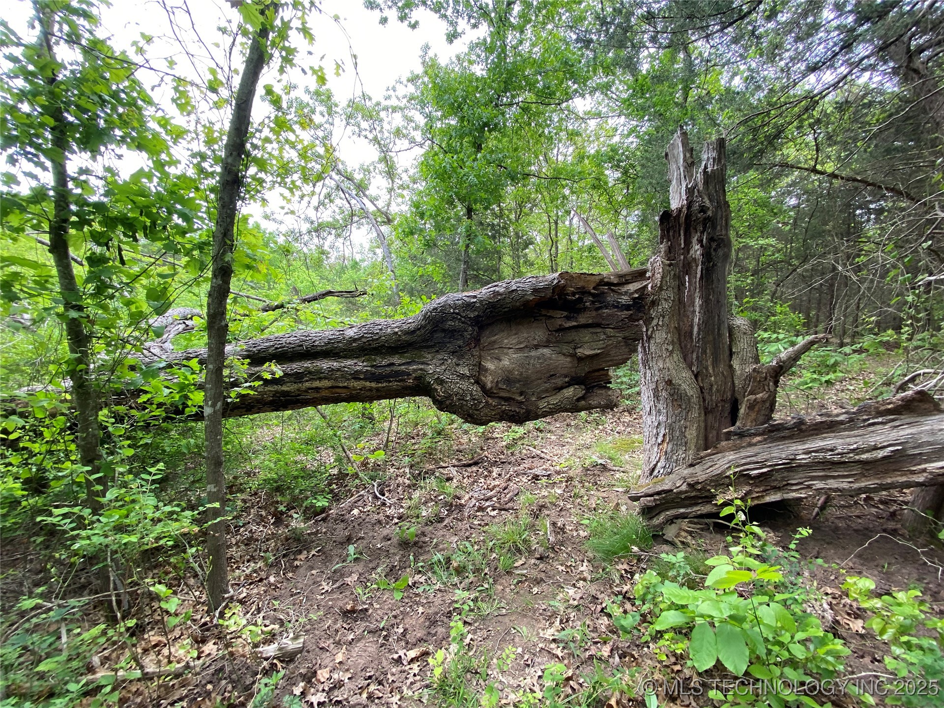 000 Cherokee Loop Property Photo 7