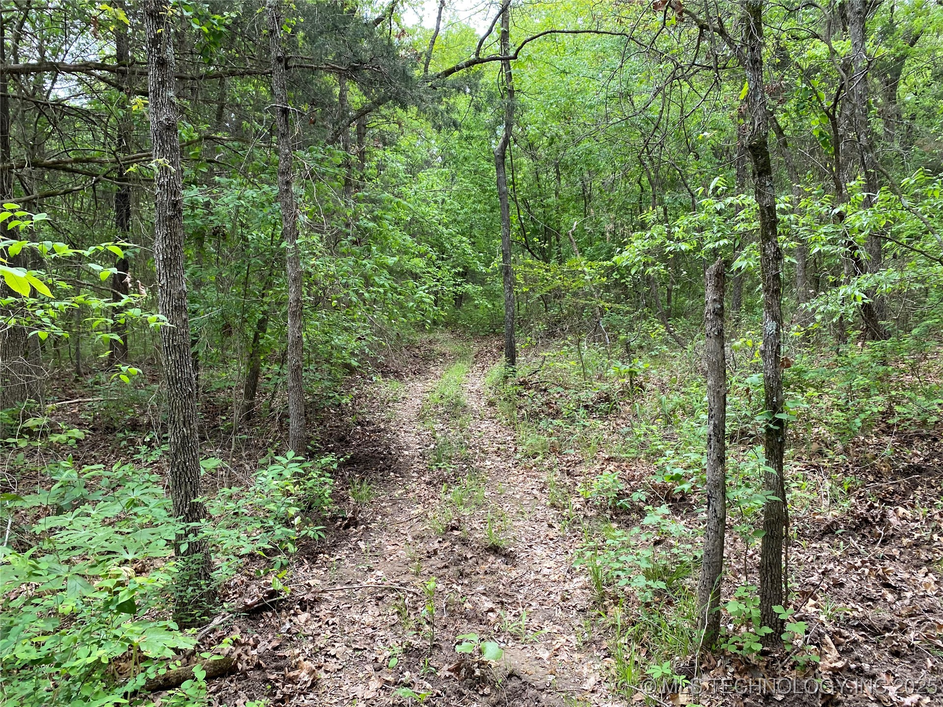 000 Cherokee Loop Property Photo 8