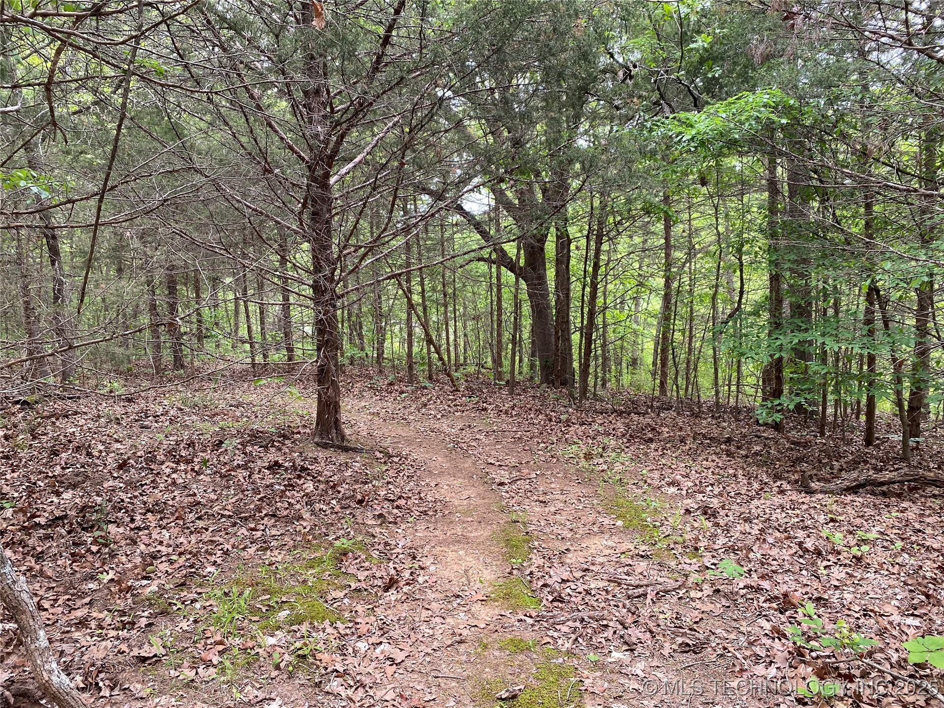 000 Cherokee Loop Property Photo 9