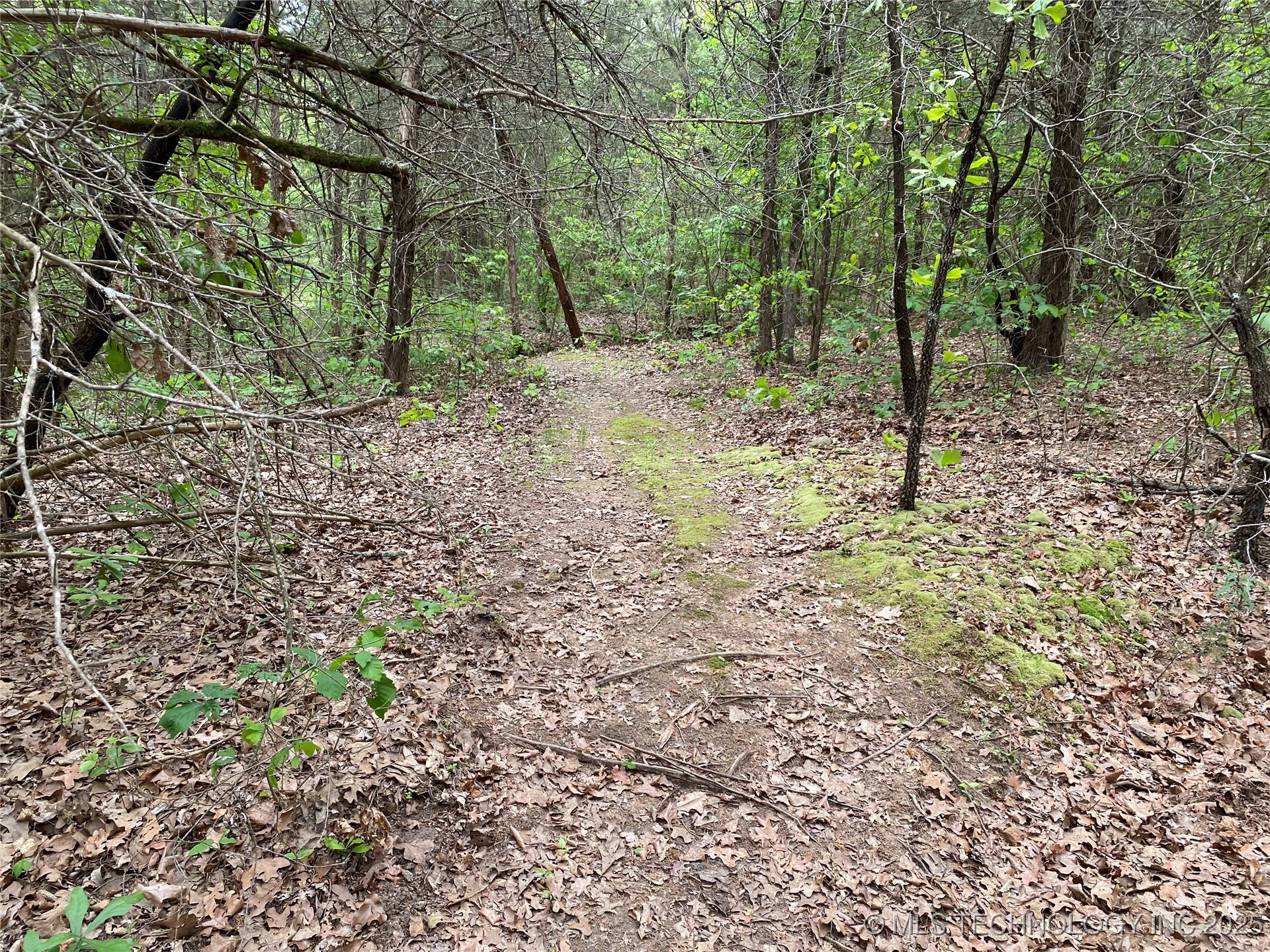 000 Cherokee Loop Property Photo 10