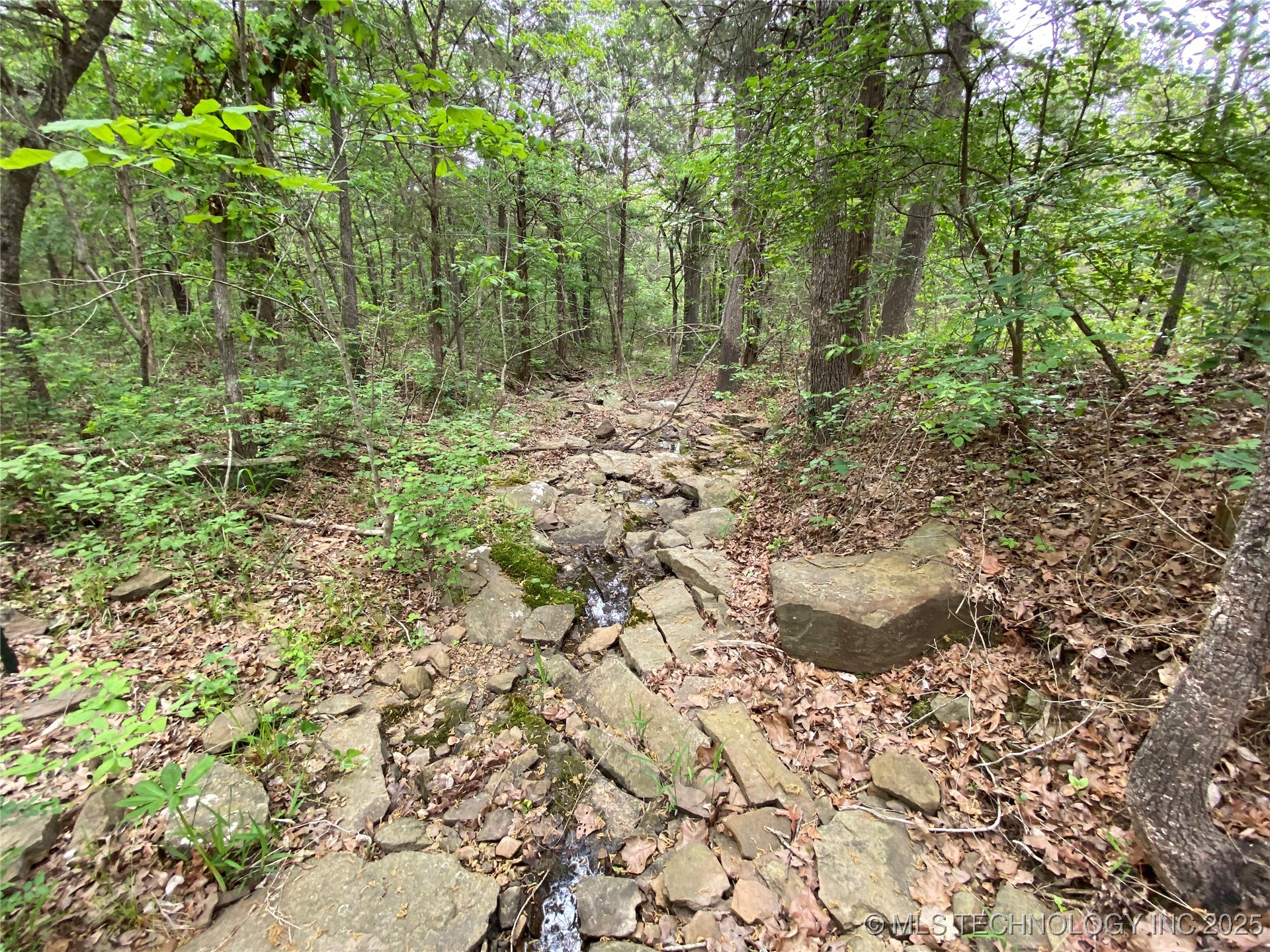 000 Cherokee Loop Property Photo 11