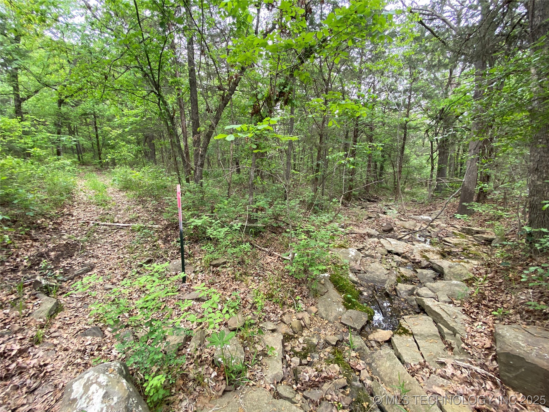 000 Cherokee Loop Property Photo 12