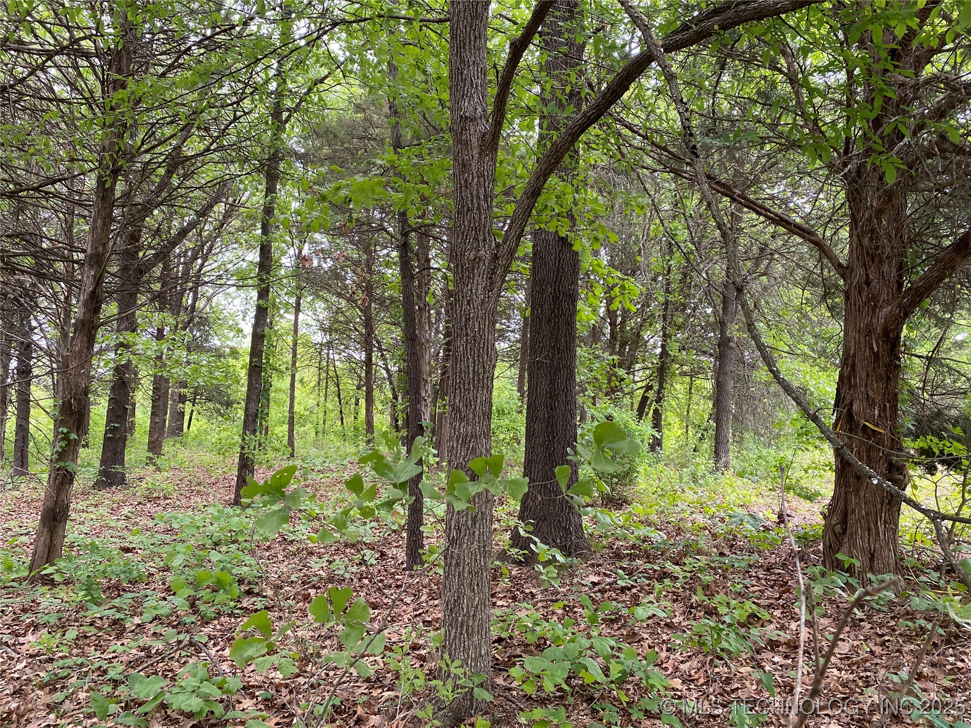 000 Cherokee Loop Property Photo 14