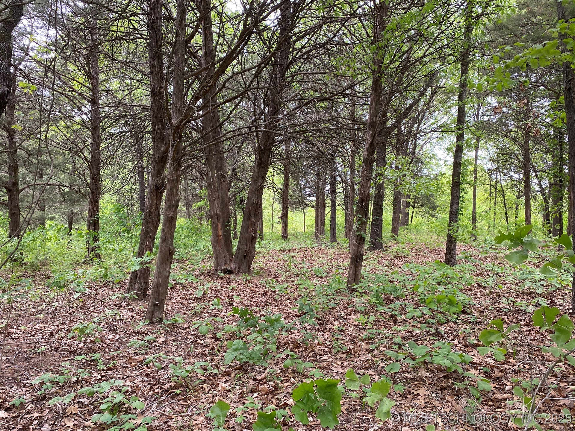 000 Cherokee Loop Property Photo 15