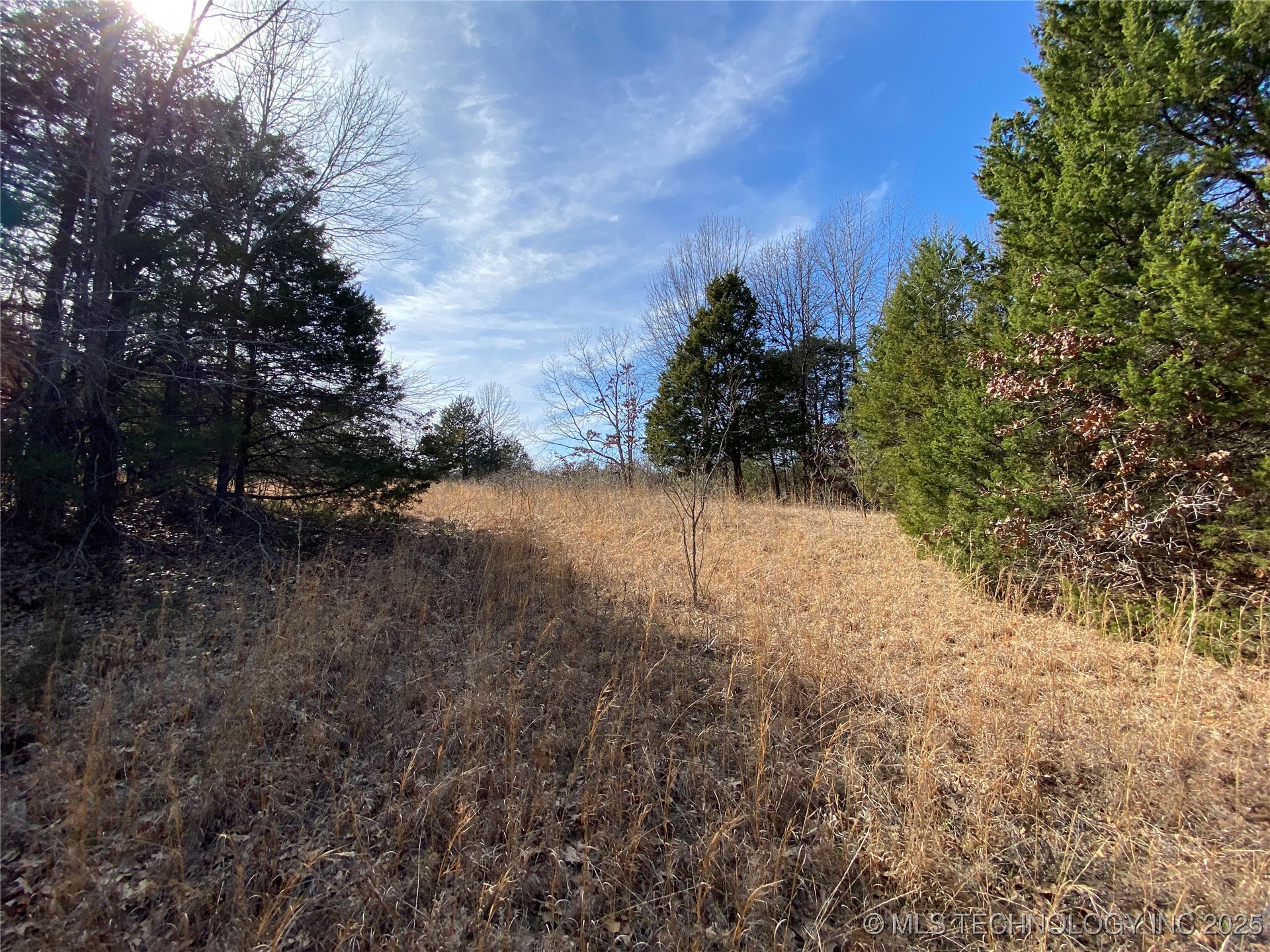 000 Cherokee Loop Property Photo 24