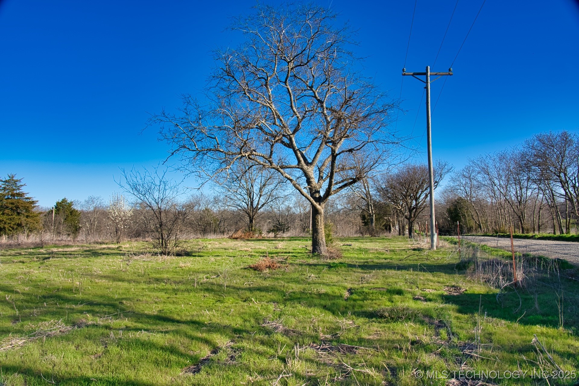 Mary Street Property Photo 2
