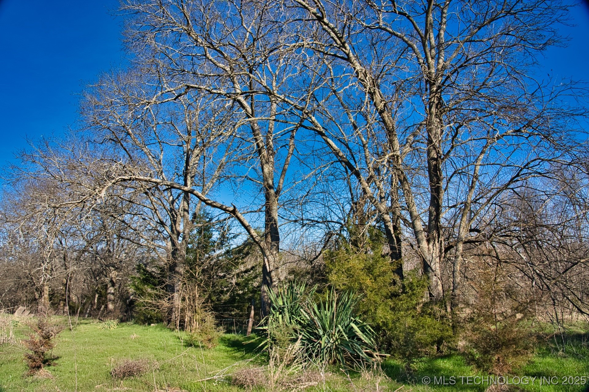 Mary Street Property Photo 7