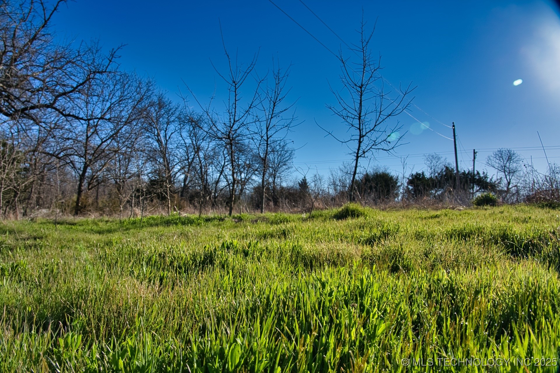 Mary Street Property Photo 9