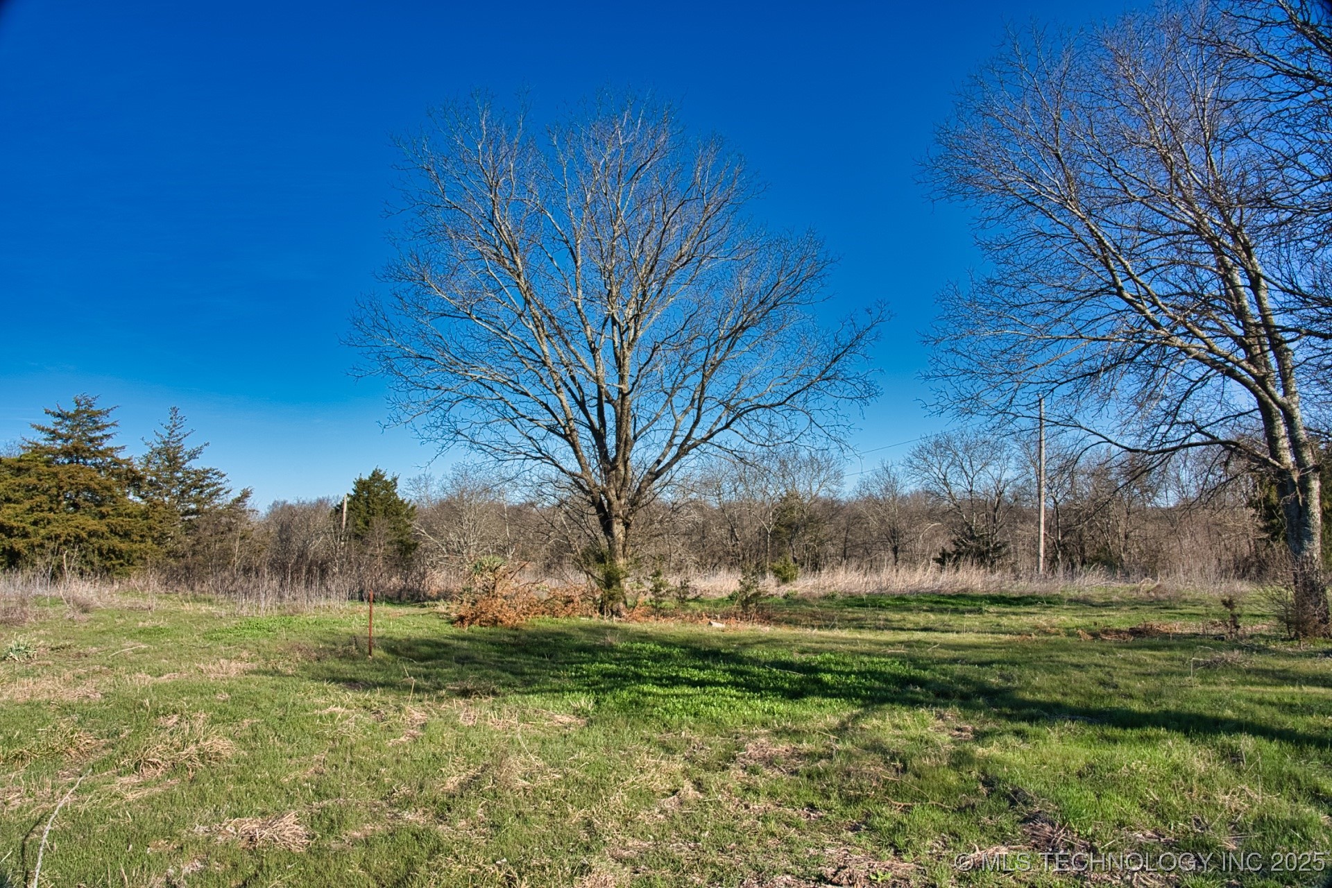 Mary Street Property Photo 12