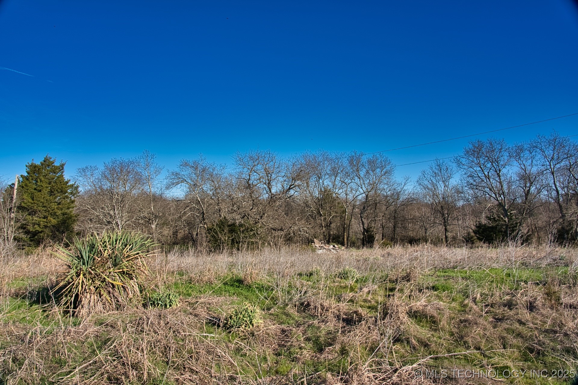 Mary Street Property Photo 14