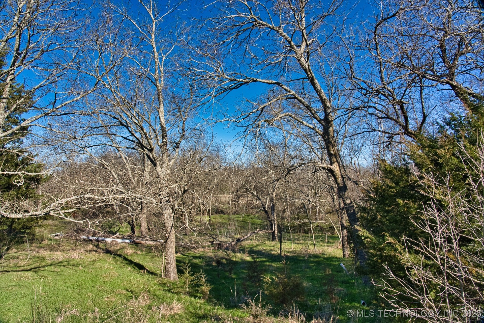 Mary Street Property Photo 17