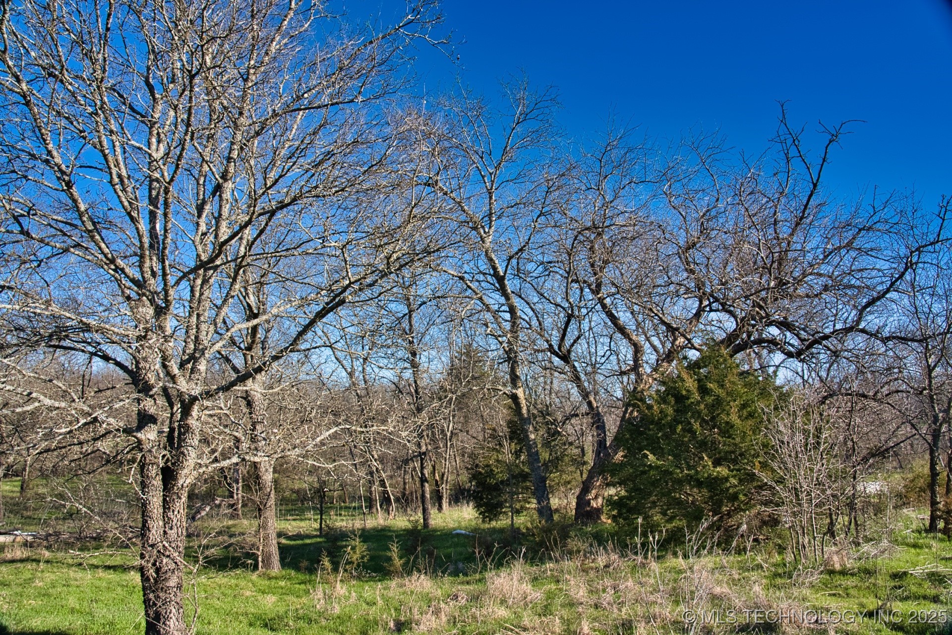 Mary Street Property Photo 19