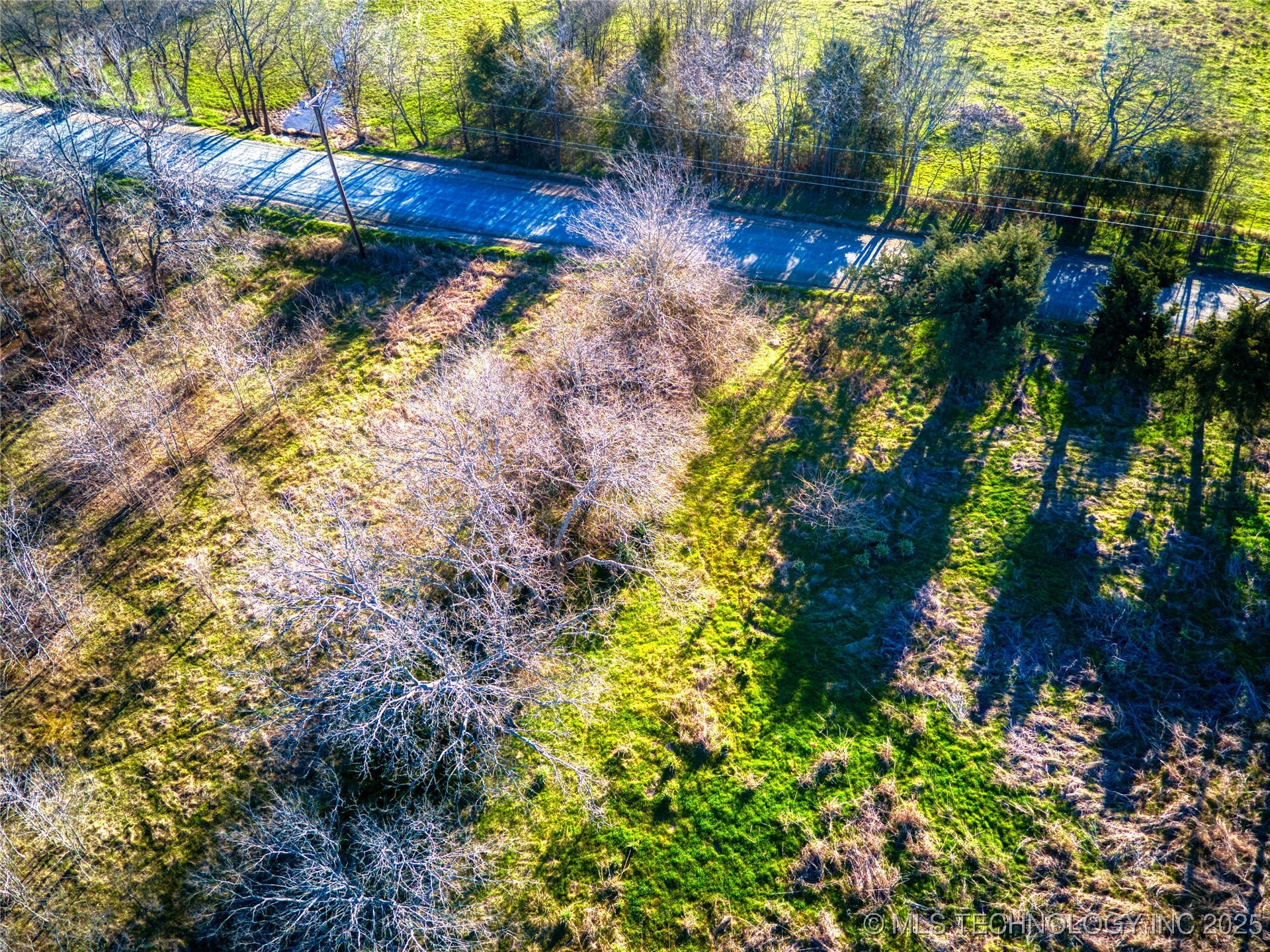 Mary Street Property Photo 20