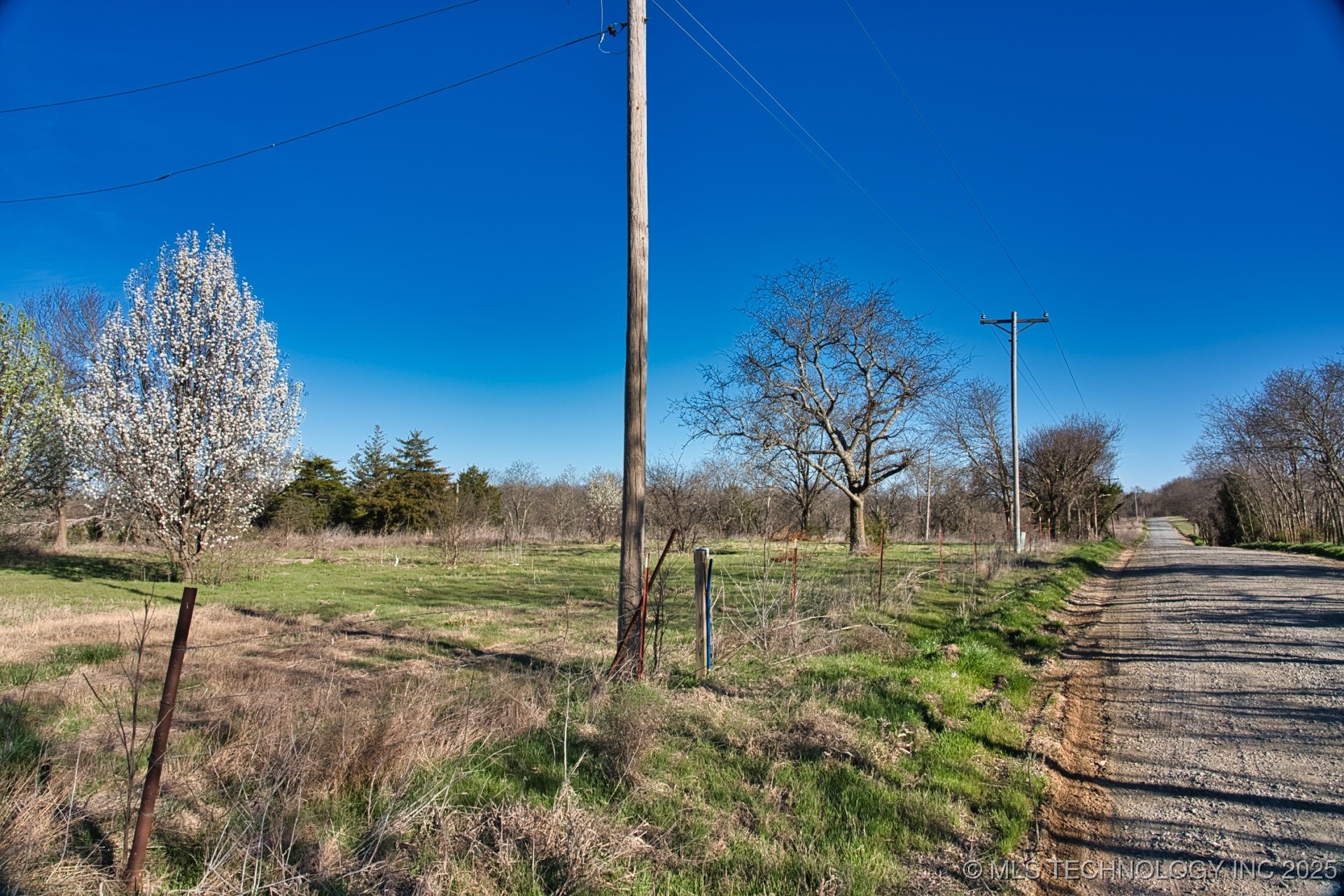 Mary Street Property Photo 21