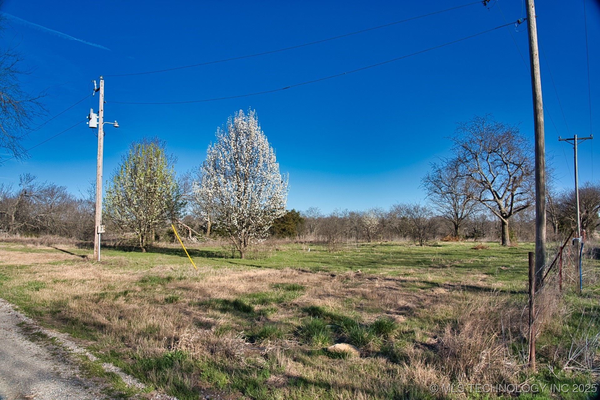 Mary Street Property Photo 23