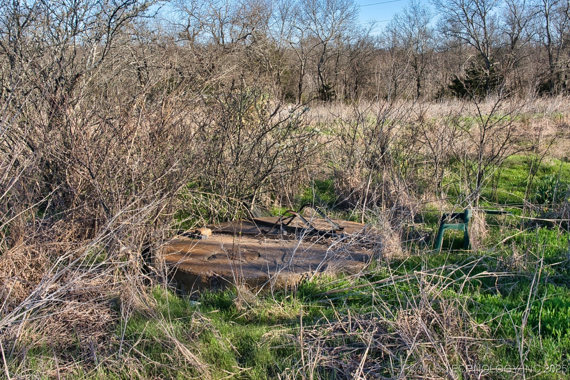 Mary Street Property Photo 28