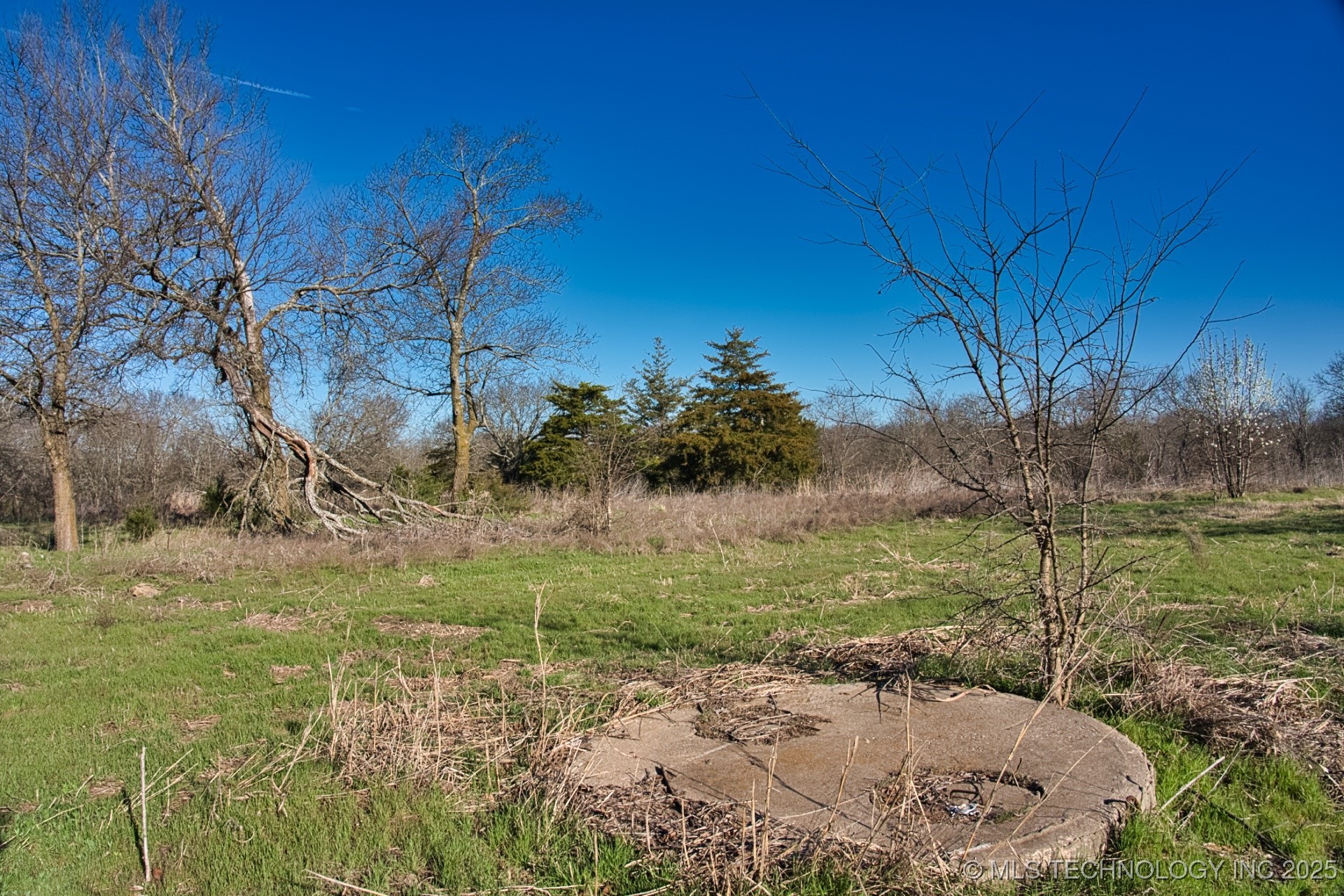 Mary Street Property Photo 29