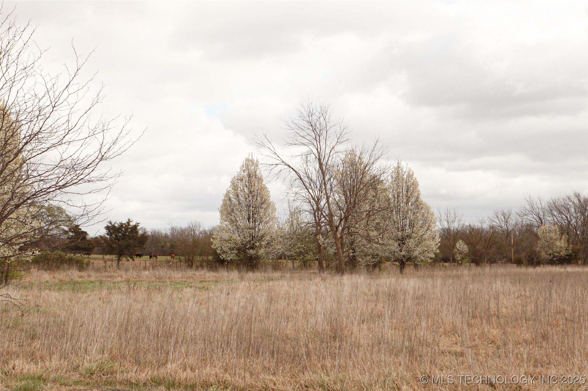 2012 W 88th Street North Property Photo 17