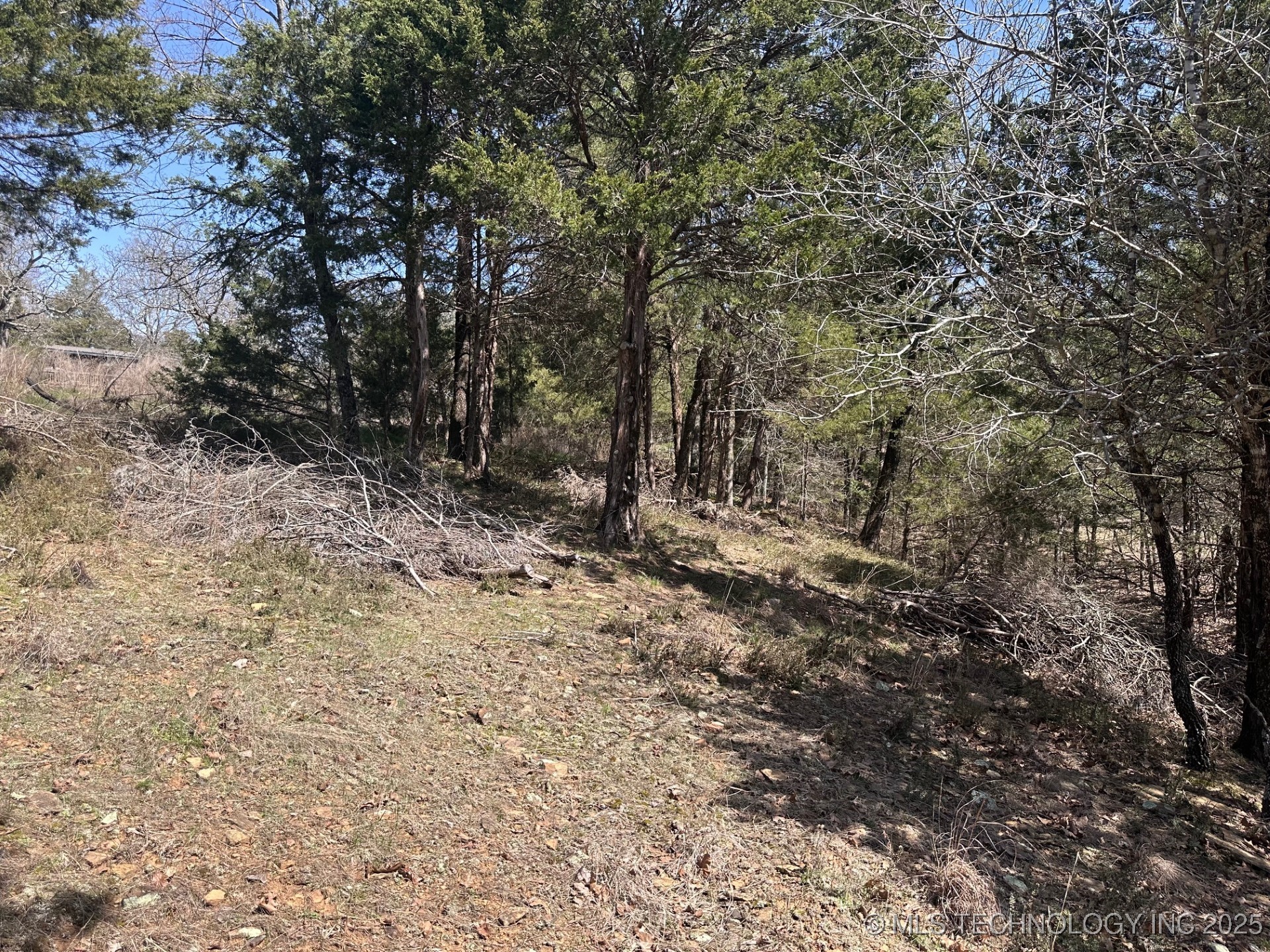 99999 963 Property Photo 16