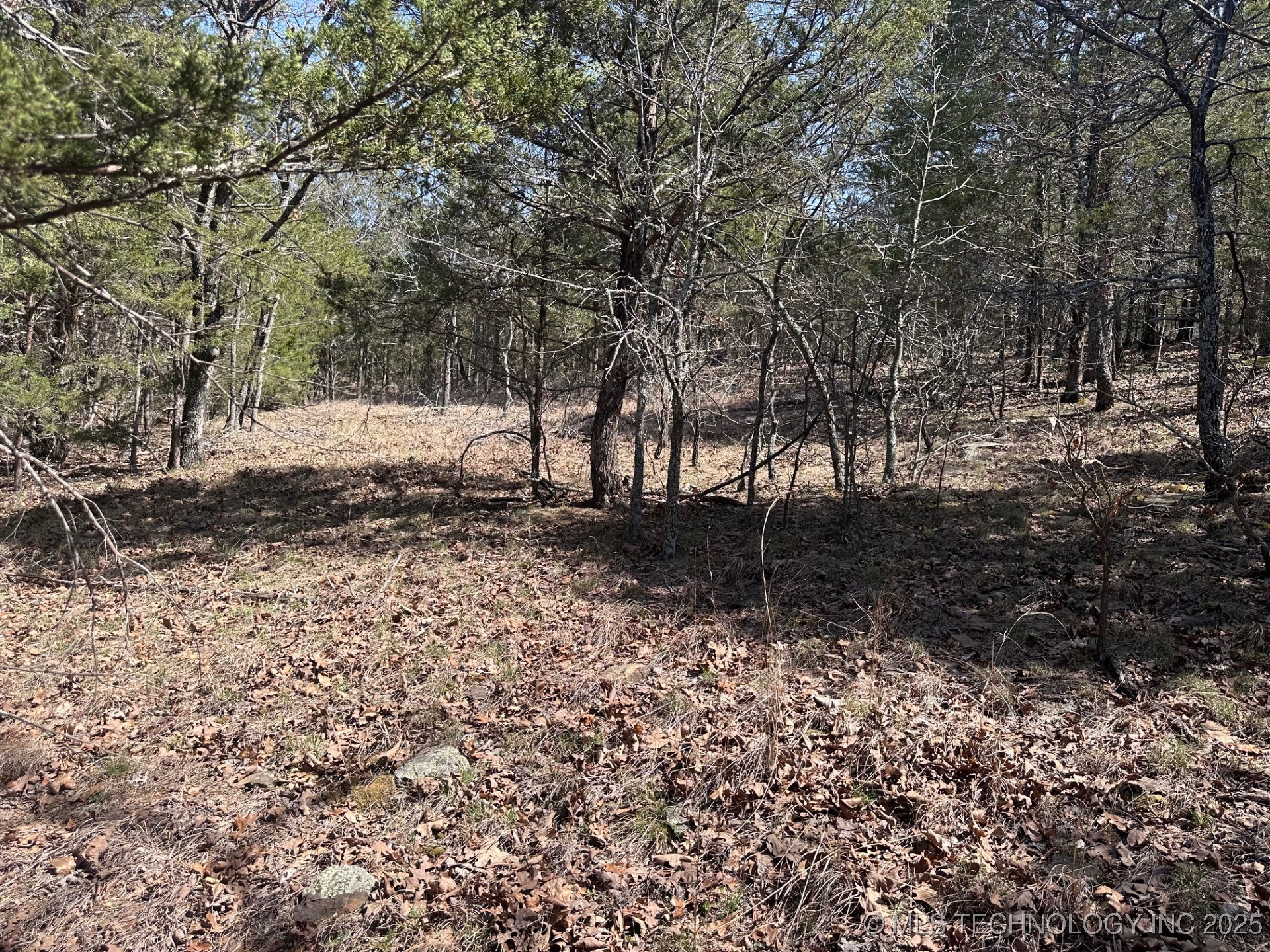 99999 963 Property Photo 17