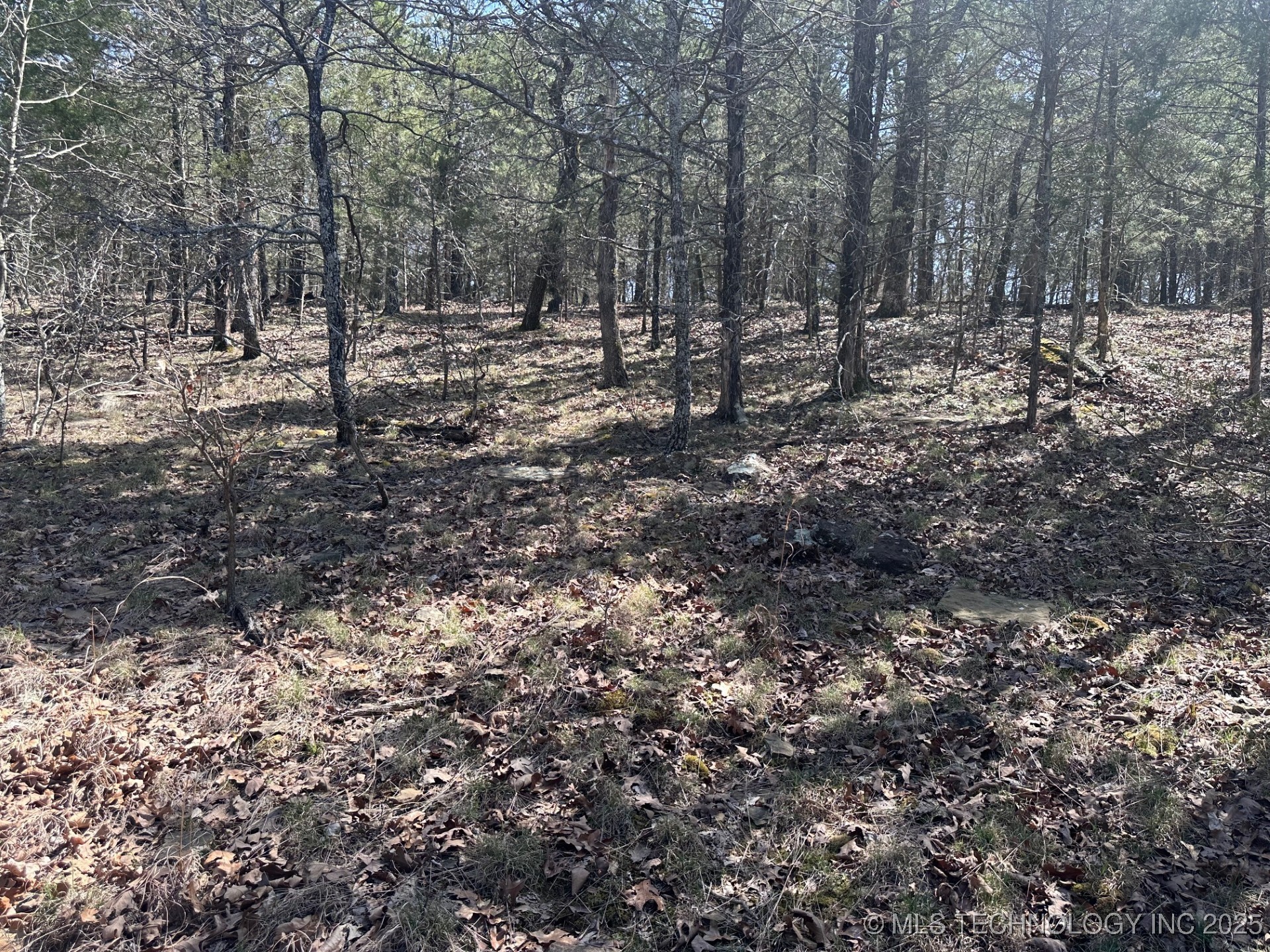 99999 963 Property Photo 18